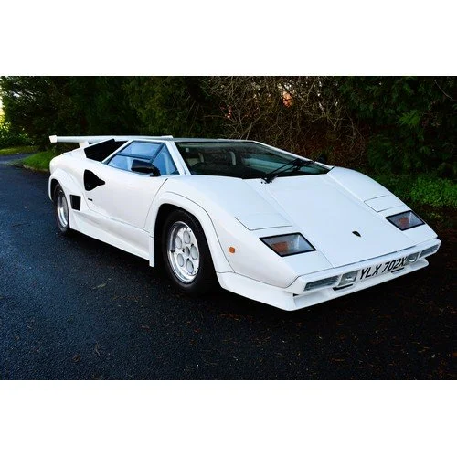 A white Lamborghini Countach sports car parked on a dark paved road with green bushes in the background.
