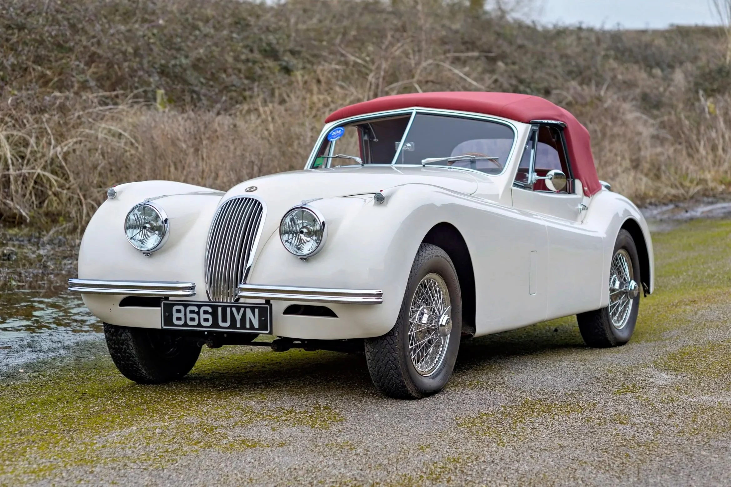 A vintage blue Ferrari sports car parked on a grassy lawn with trees and bushes in the background.