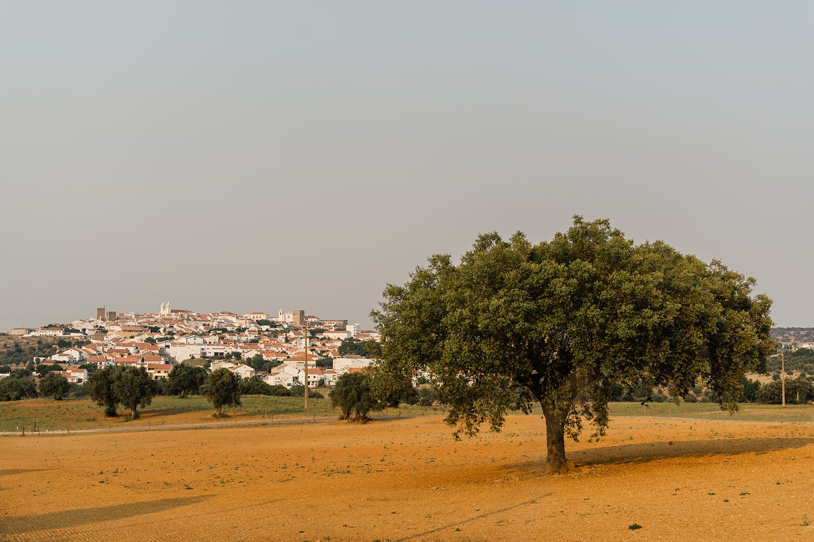 Villa dos R's - Avis, segredo do Alto Alentejo