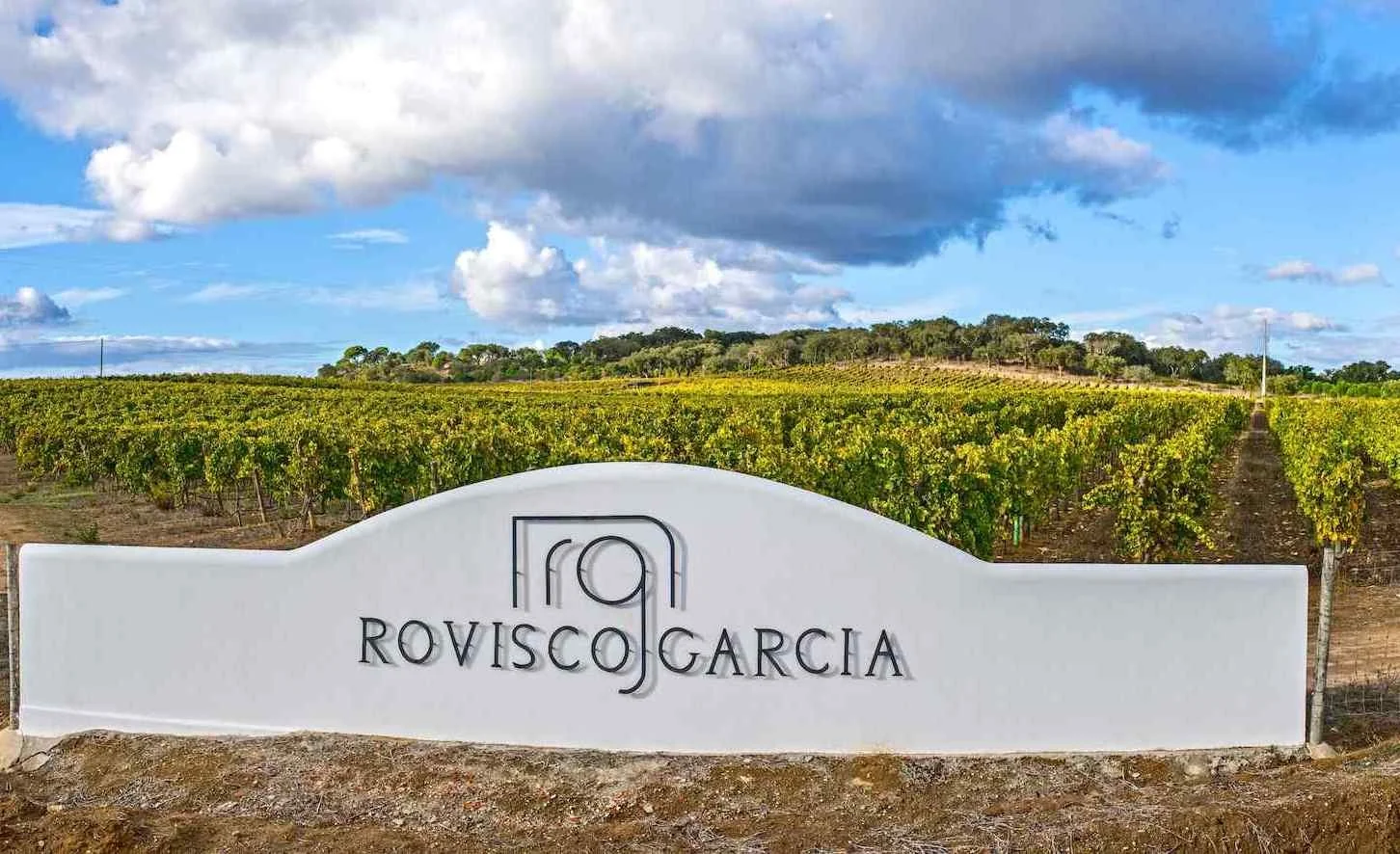 Vinha-Rovisco_Garcia-small-crop.jpg