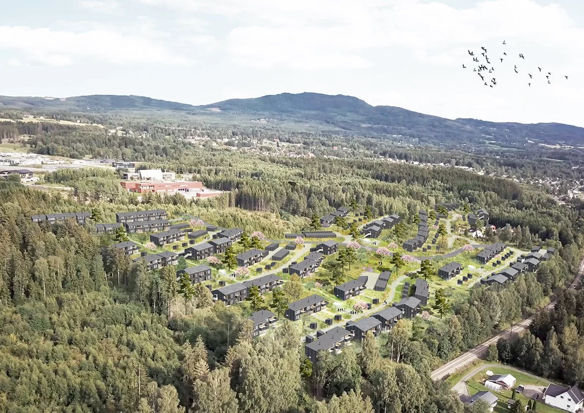 Rognekollen // Regulering