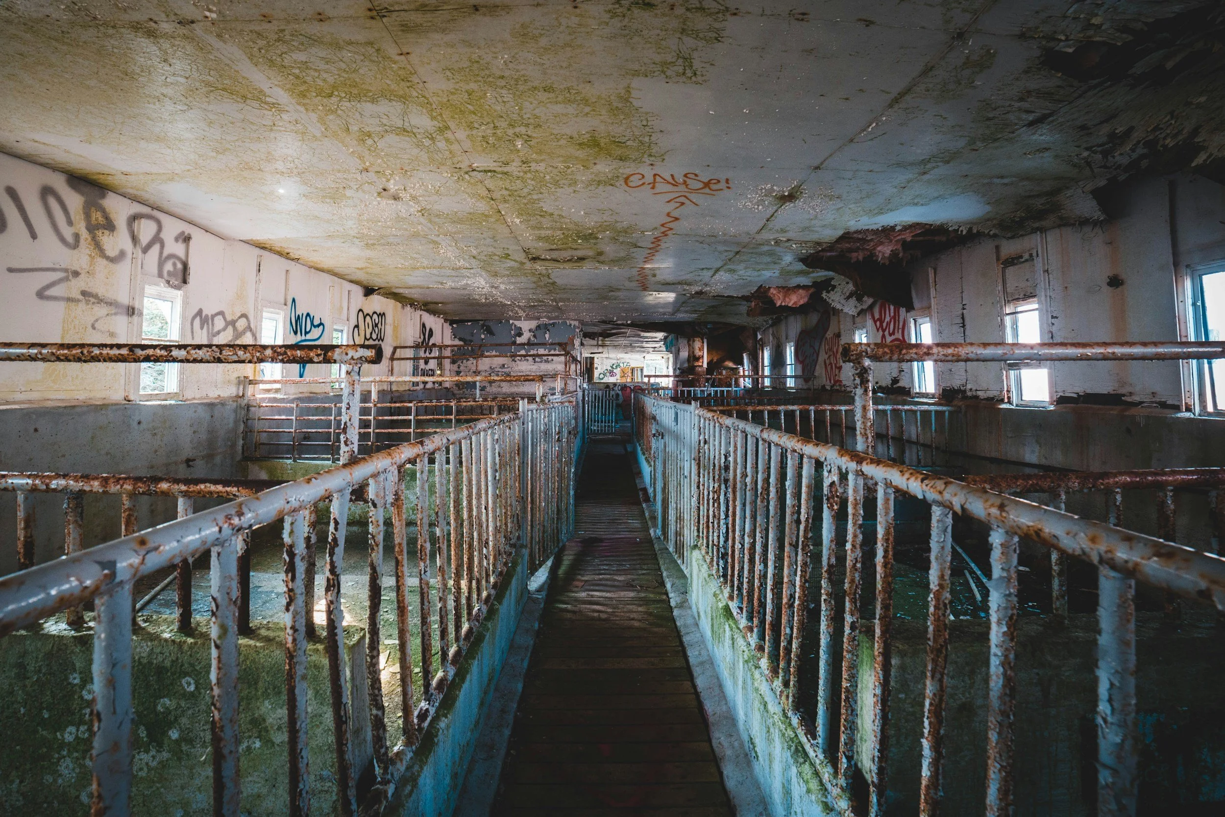 An abandoned, dilapidated building with rusted railings and graffiti on the walls, featuring a narrow wooden walkway over what seems to be water or mold.