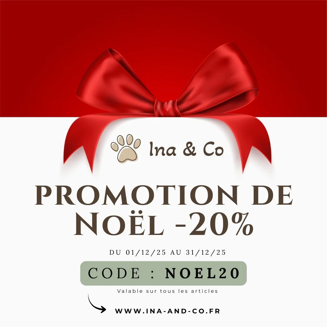 HO HO HO 🎅🎁

Surprise de No&euml;l chez Ina &amp; Co : -20% sur la totalit&eacute; de votre commande 🎉🐶

🐾CODE : NOEL20🐾

📆Valable sur tout le site du 01/12/25 au 31/12/25

Des accessoires faits avec amour pour tes animaux, et en plus 1&euro; 