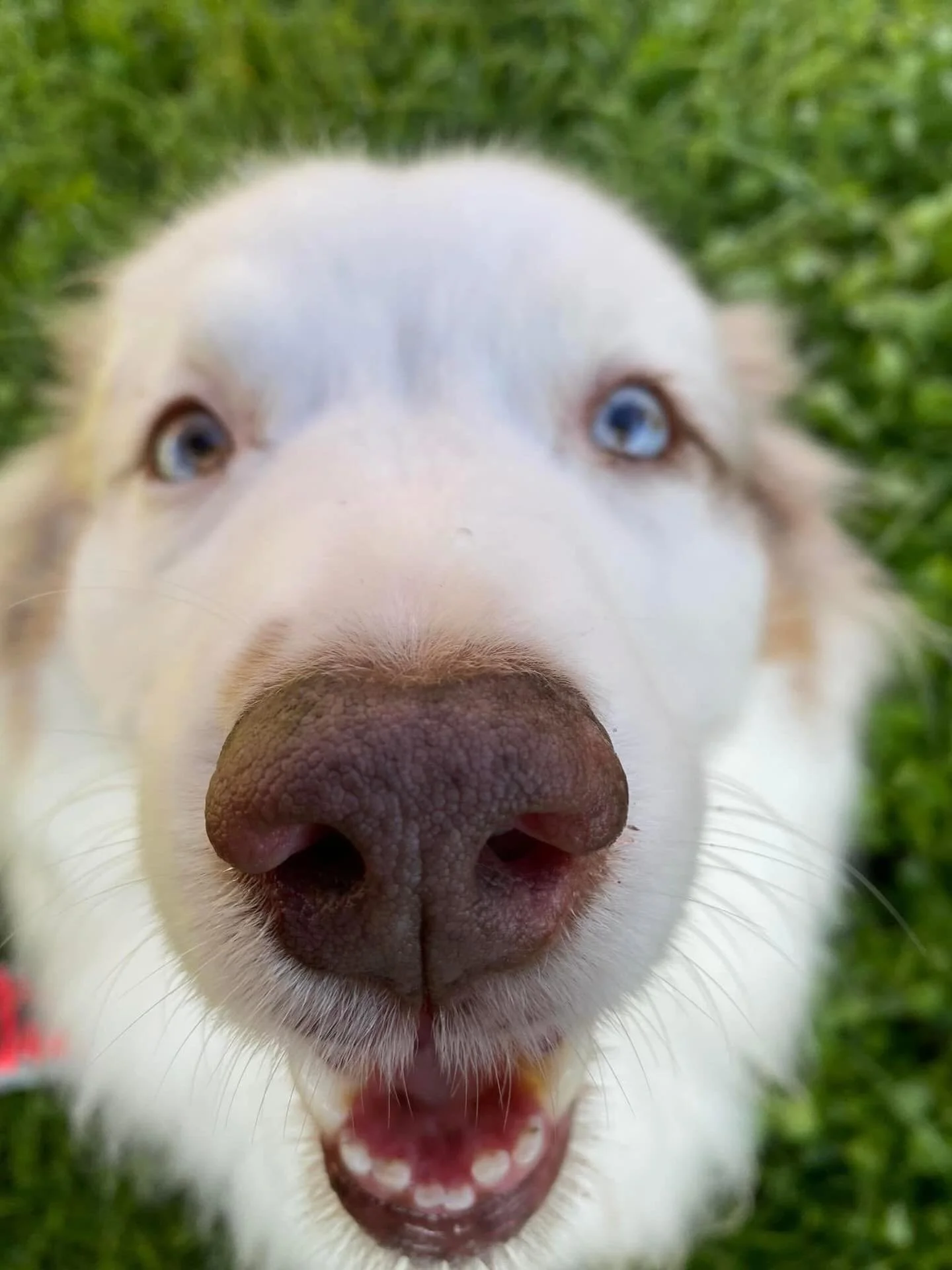 Ina, c&rsquo;est elle qui me rappelle pourquoi je cr&eacute;e ❤️

www.ina-and-co.fr