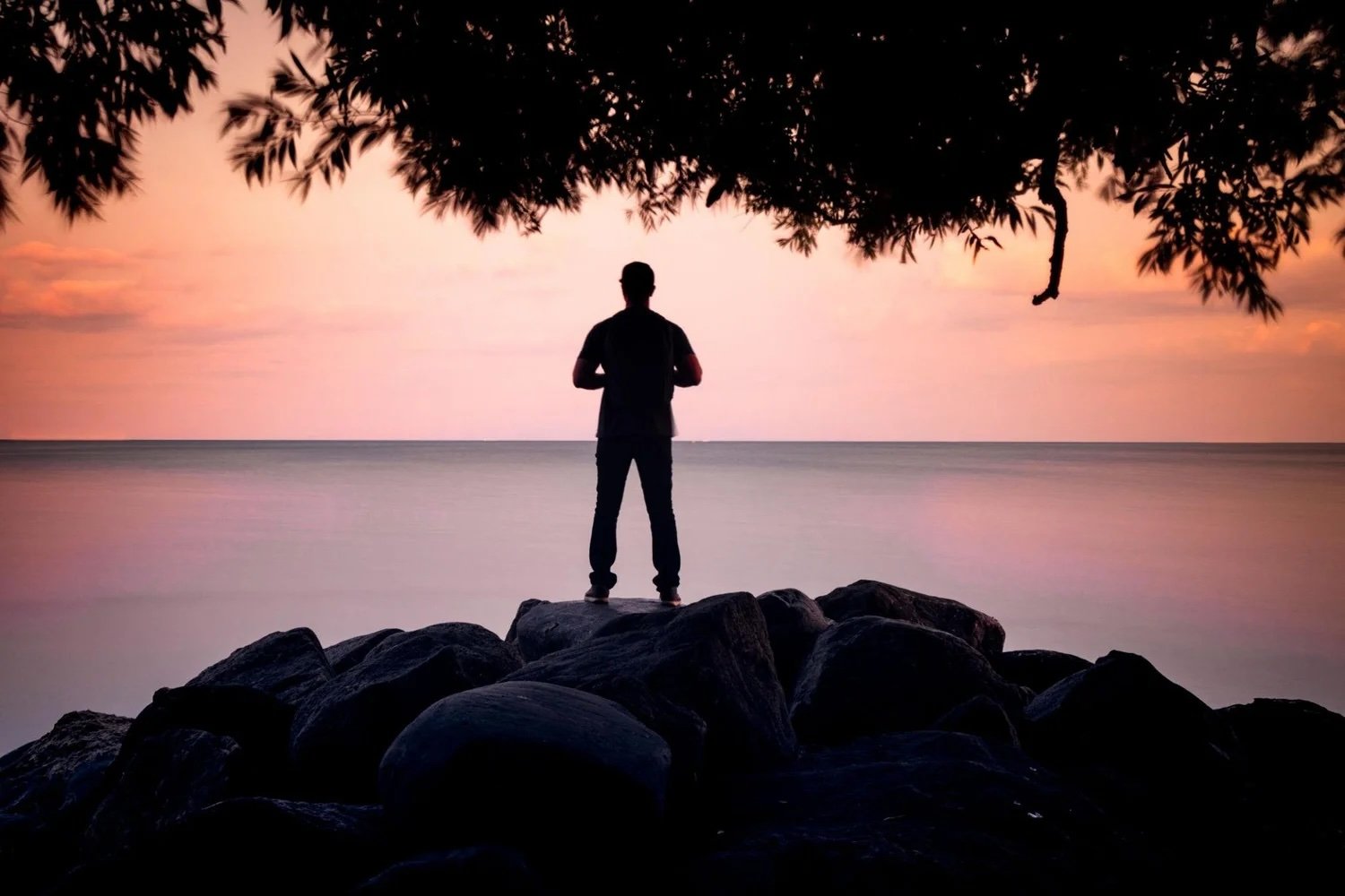 A person standing on rocks by the water at sunset, with silhouettes of overhanging leaves and a pink sky.