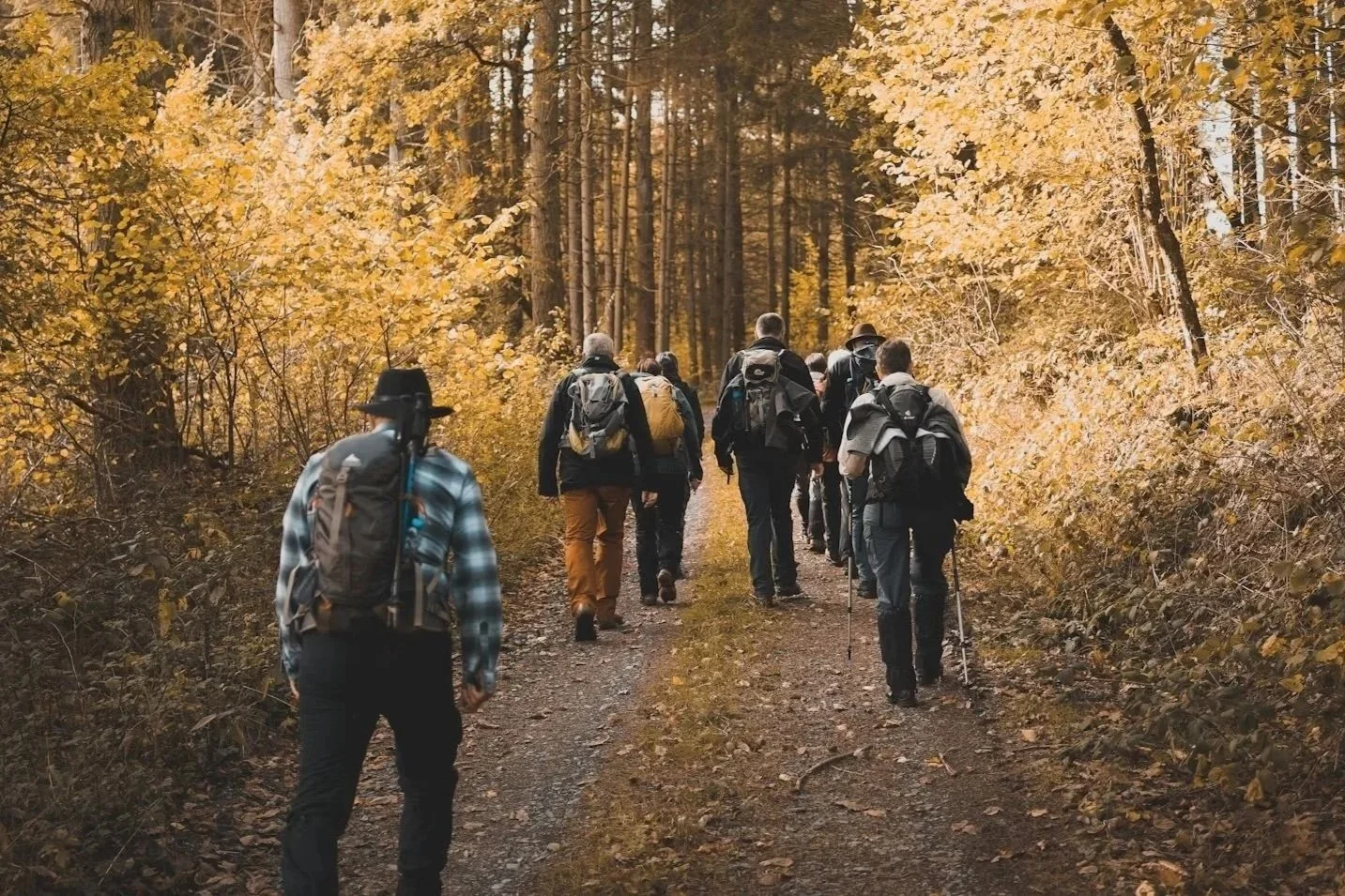 A group of people hiking on a trail through a forest with autumn leaves.