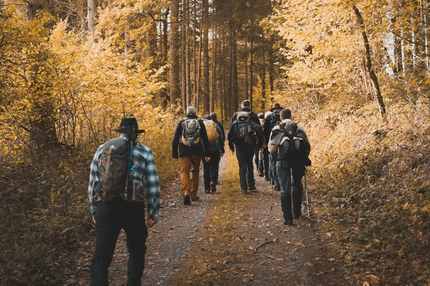 Men walking together on a forest path in autumn, representing personal growth, accountability, and grounded change.