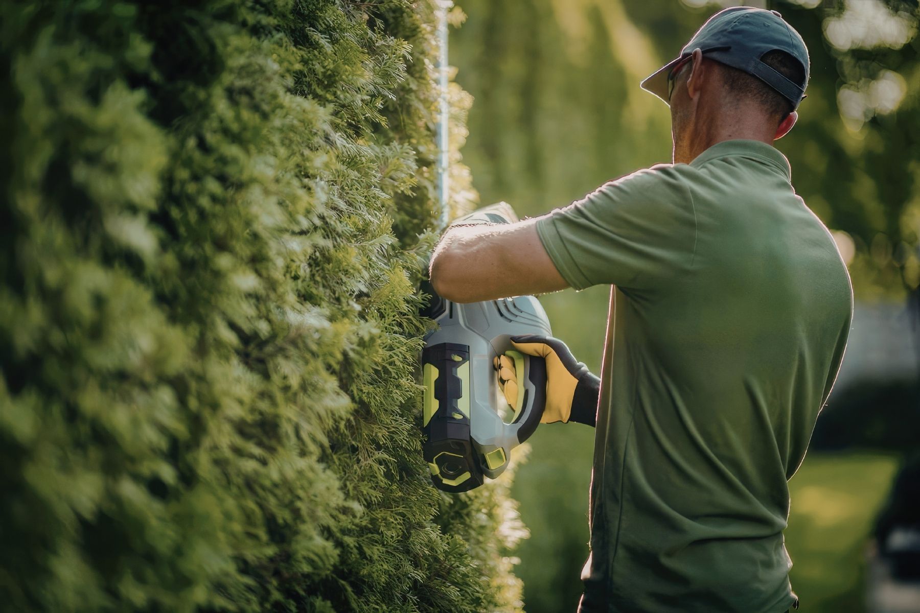 A Haven Home & Support Services mowing and garden specialist trimming hedges for a Caboolture NDIS funded participant