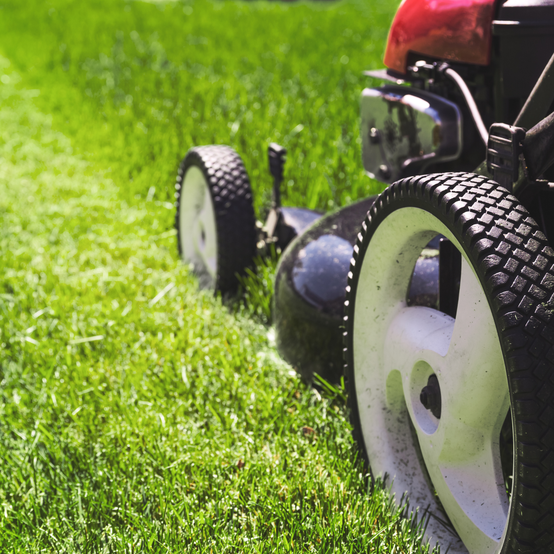 close up of mower cutting grass