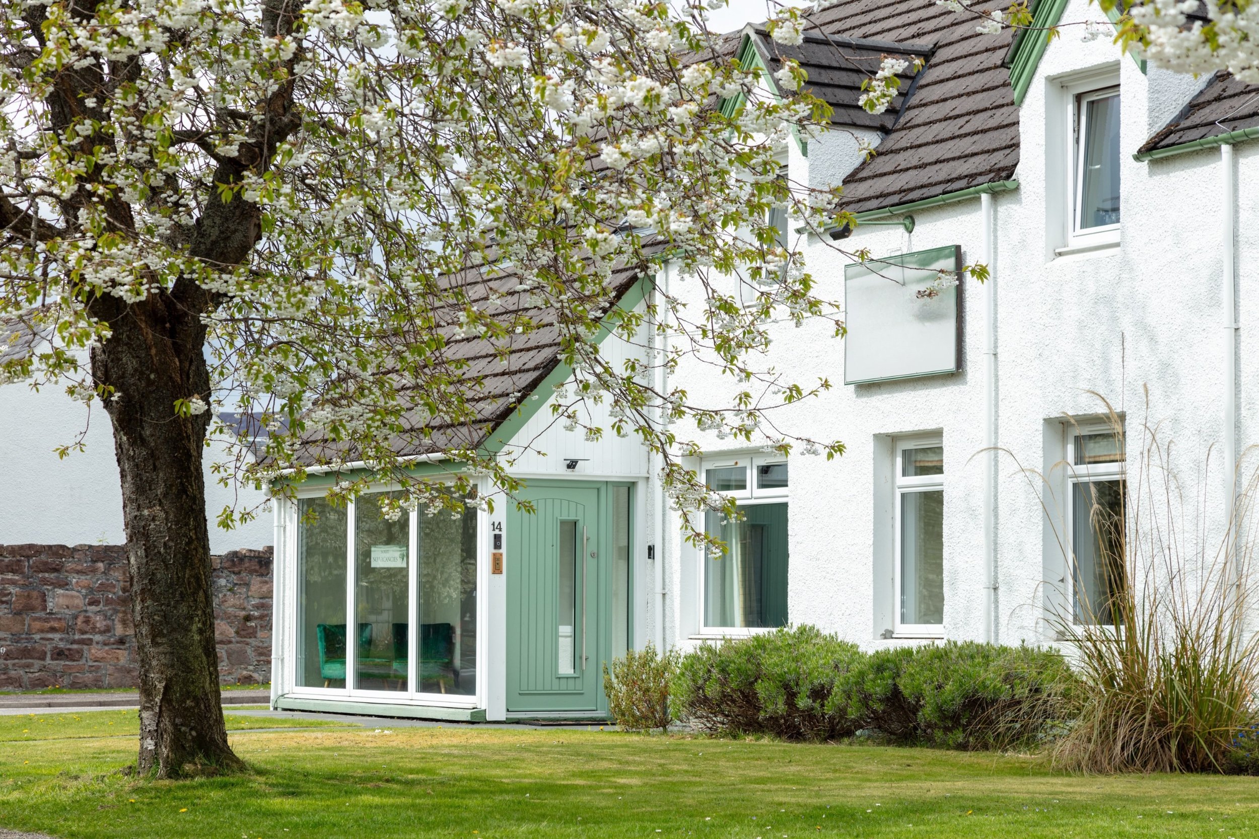 External view of The Ullapool Rooms guesthouse, a white house with green accents, large cherry tree with white blossoms in front, green lawn, and shrubs.