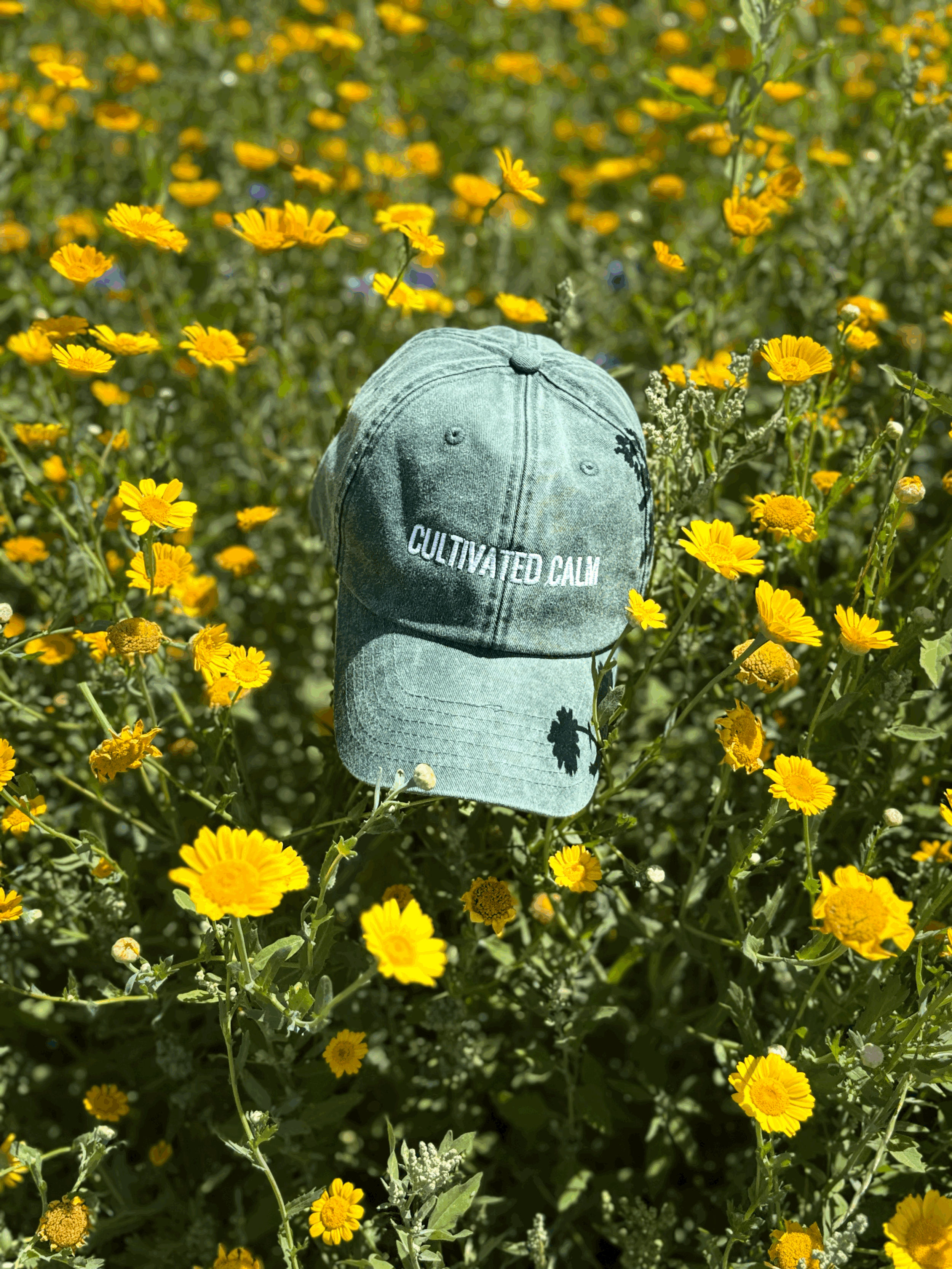 tempImagew3OD1Q.gif