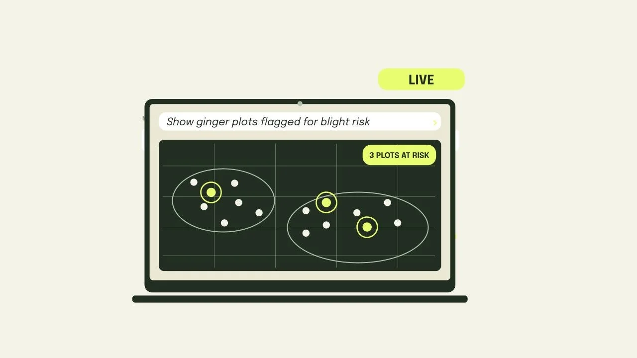 Computer screen displaying a live baseball game with three protected spots at risk, highlighted by yellow circles, on a digital scoreboard.