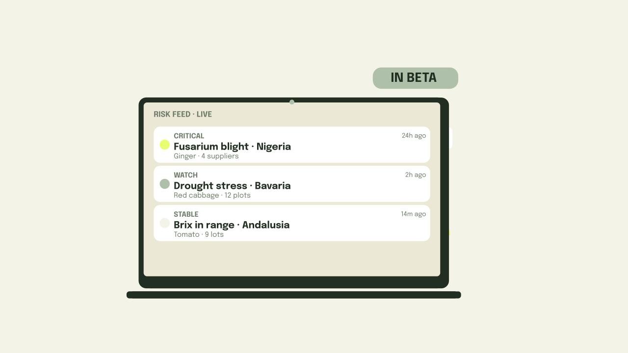 A digital dashboard showing a risk feed with three alerts about agricultural threats: Fusarium blight in Nigeria, Drought stress in Bavaria, and Brix in range in Andalucia. The dashboard indicates it's in beta.