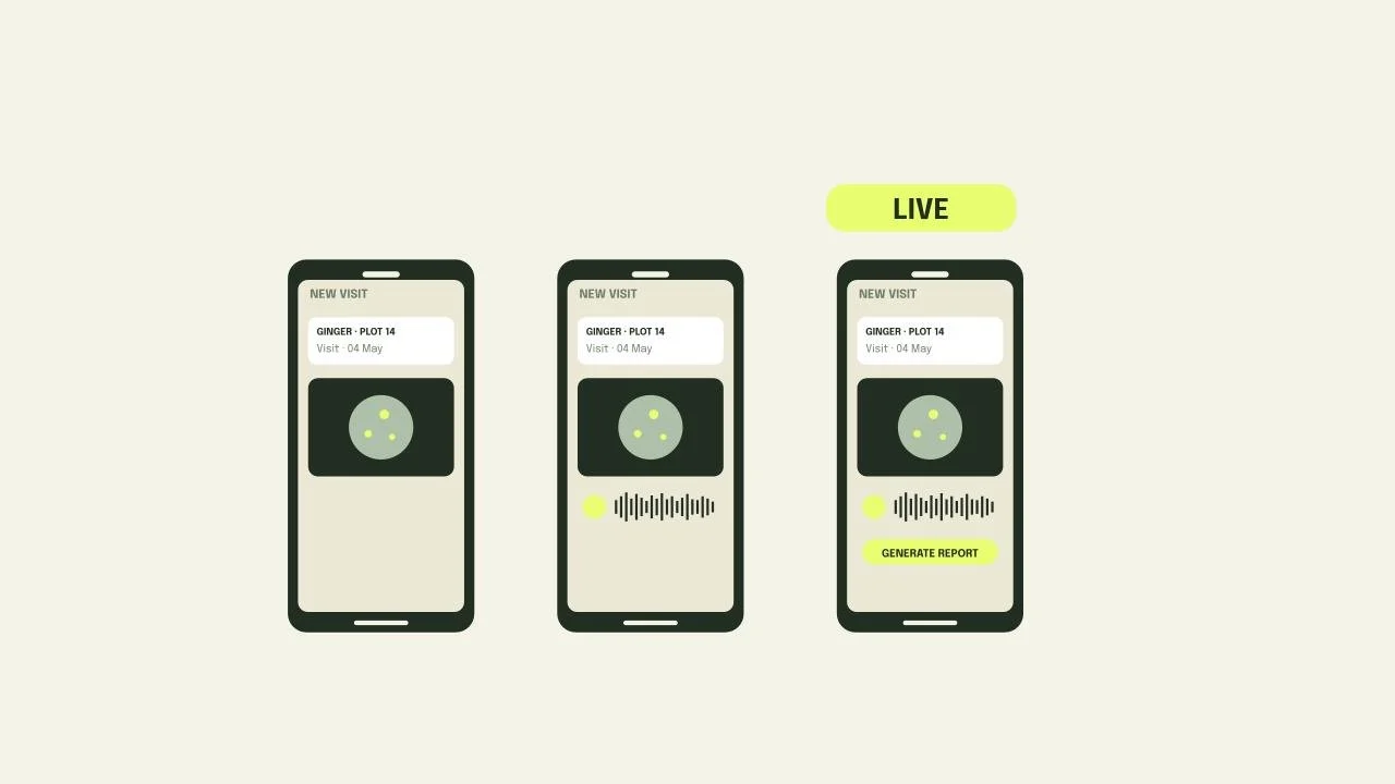 Three smartphones displaying a live audio recording app with a plant sample labeled "Ginger - Plot 14" and a visit date of May 4th. The third phone has a yellow "LIVE" label and a "Generate Report" button.