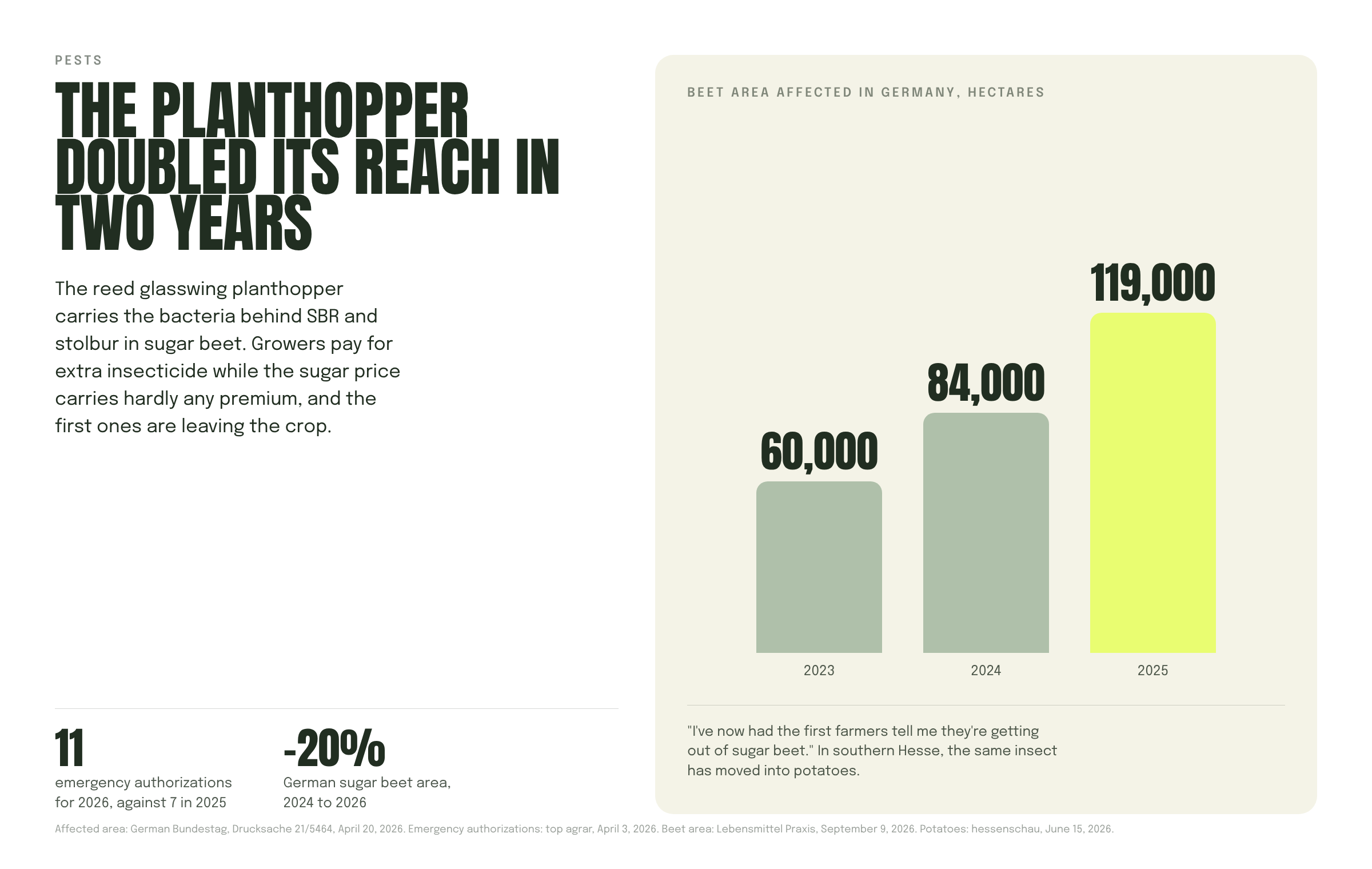 Bar chart of German sugar beet area affected by the planthopper, 60,000 hectares in 2023 rising to 119,000 in 2025