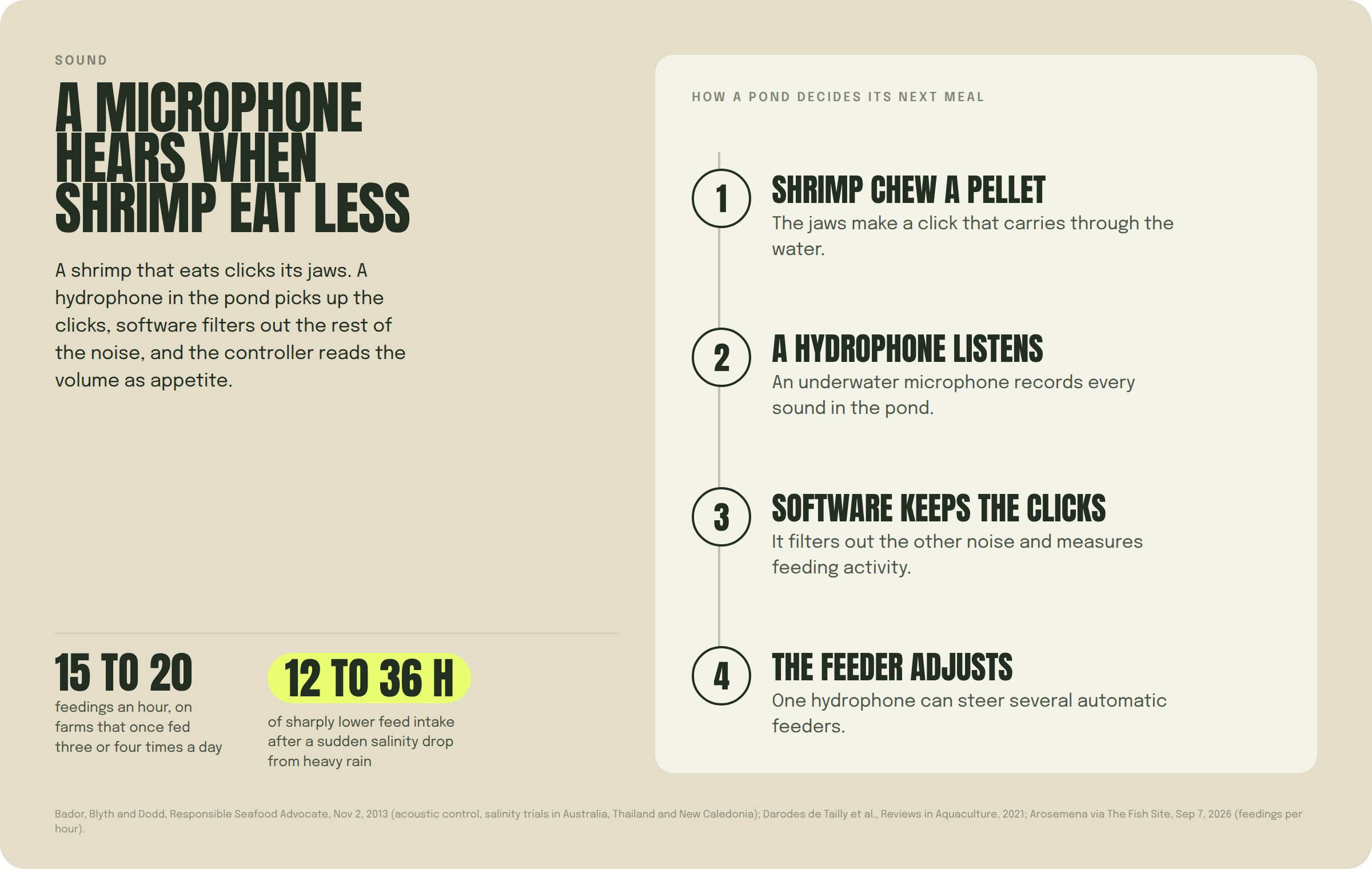 Card: a microphone hears when shrimp eat less. Shrimp chew a pellet, a hydrophone listens, software keeps the clicks, the feeder adjusts. 15 to 20 feedings an hour; 12 to 36 hours of lower feed intake after a salinity drop.