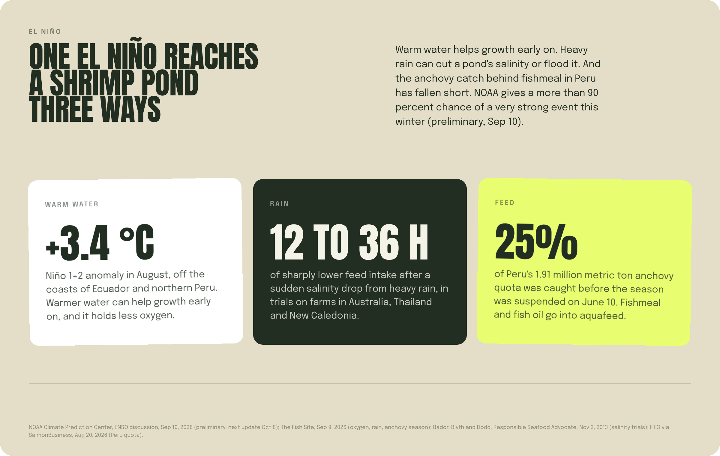 Card: one El Niño reaches a shrimp pond three ways. Warm water: Niño 1+2 at +3.4 °C in August. Rain: 12 to 36 hours of lower feed intake after a salinity drop. Feed: 25 percent of Peru's anchovy quota caught before the season was suspended.