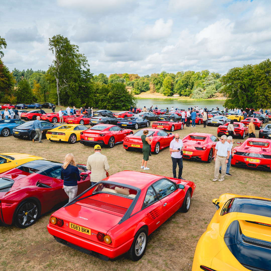 display of supercars