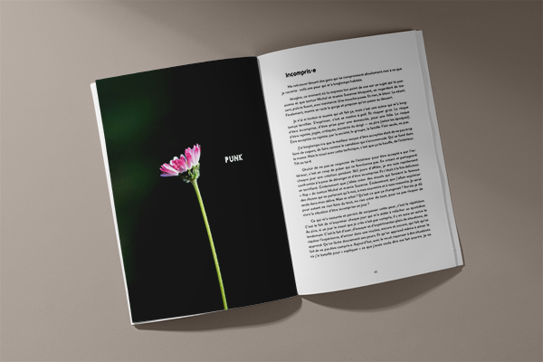 Mockup Aperçu int.png