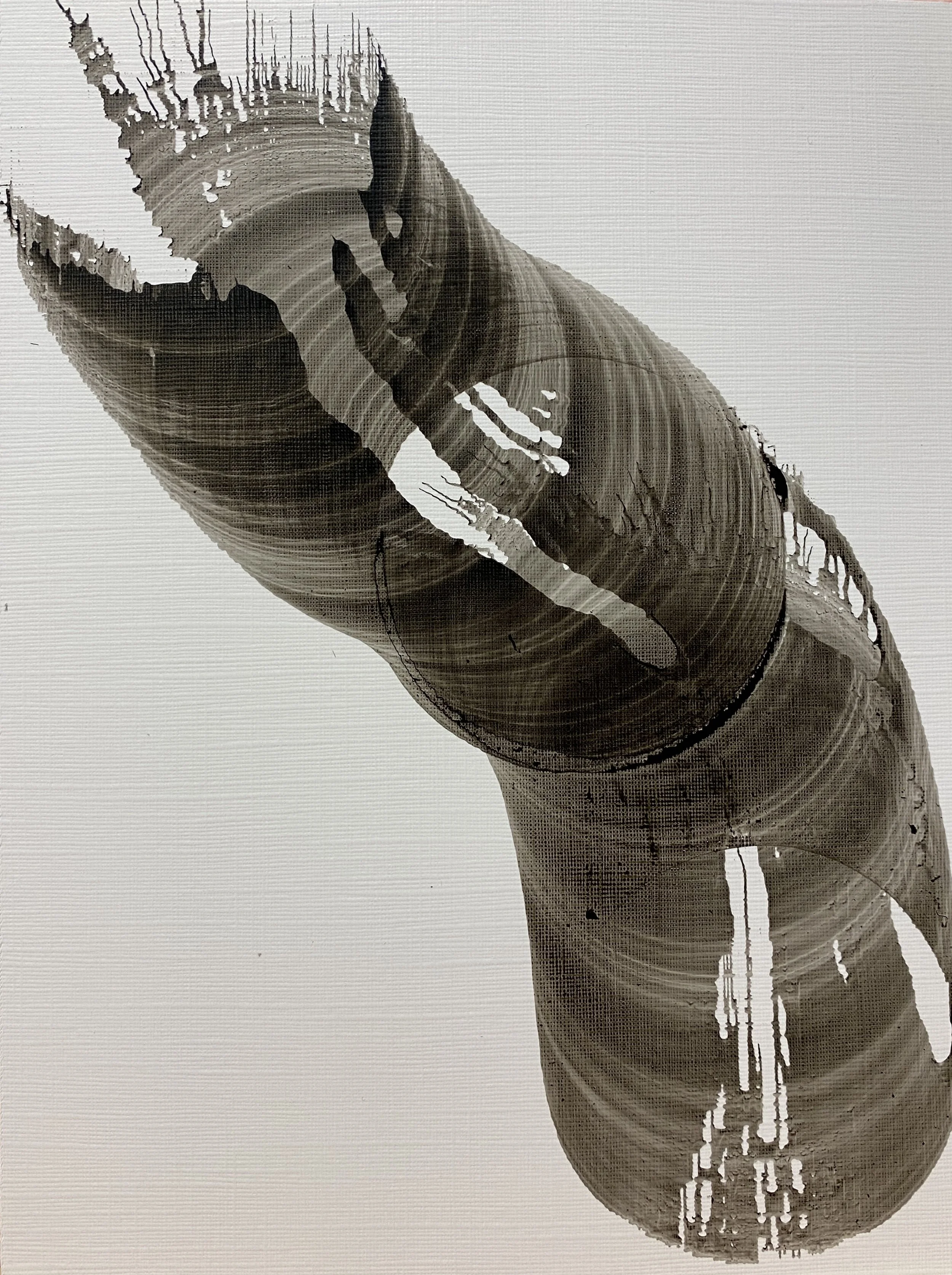 Tourbillons et Connexions, encre sur papier toilé, 15X20