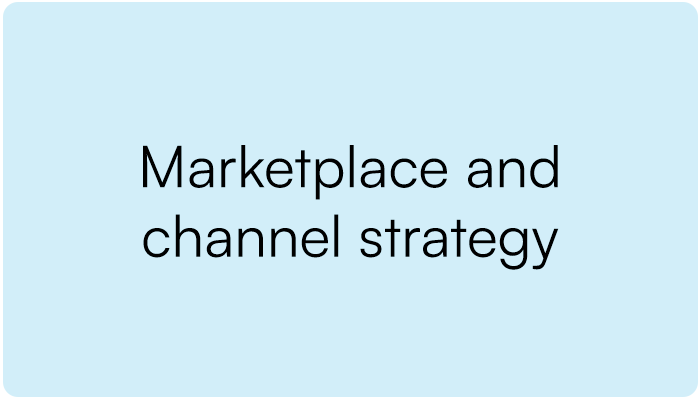 Light blue background with black text that reads 'Marketplace and channel strategy'.
