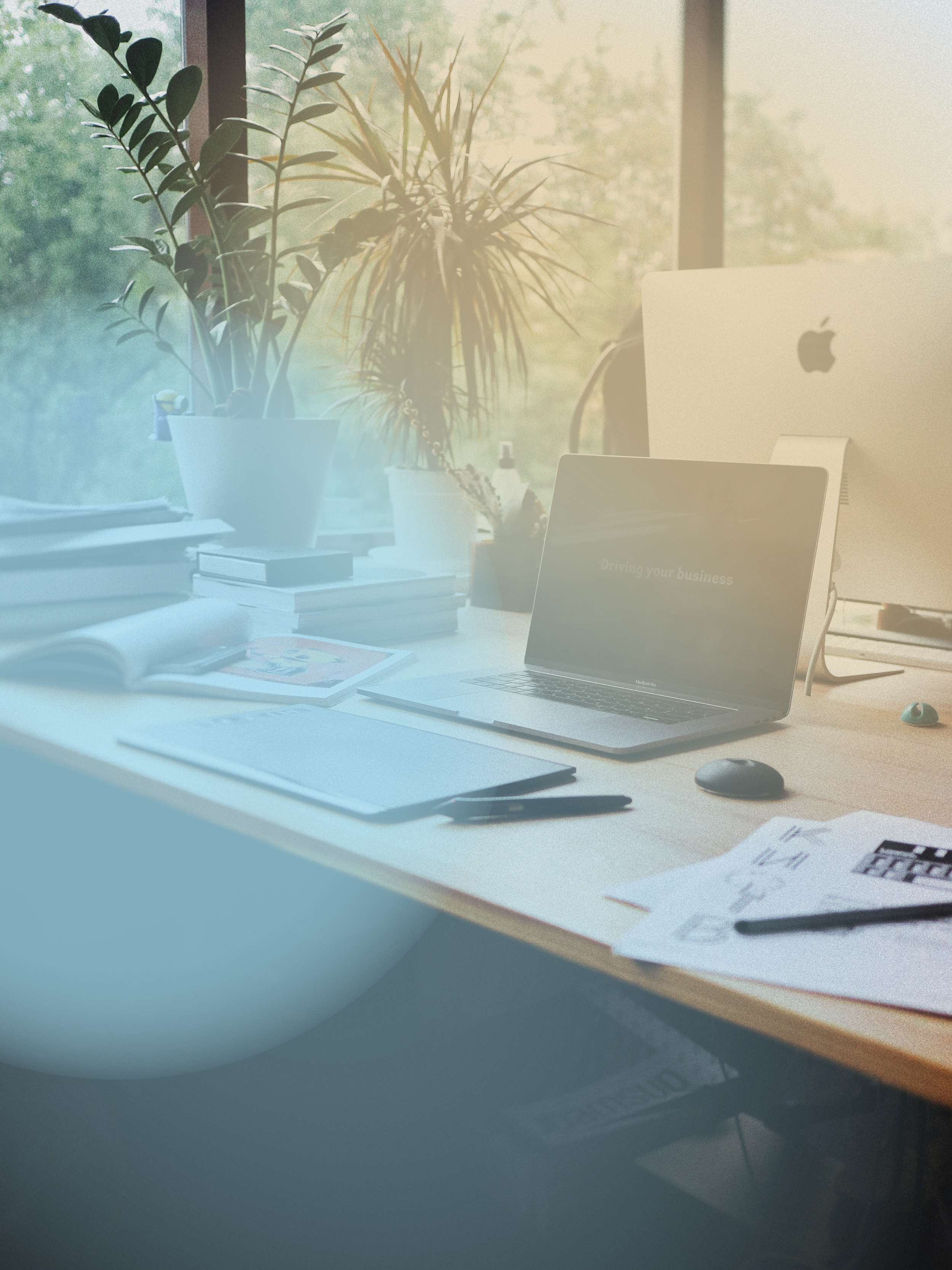 A tidy workspace with a laptop, plants on the windowsill, books, papers, pens, and a computer monitor.