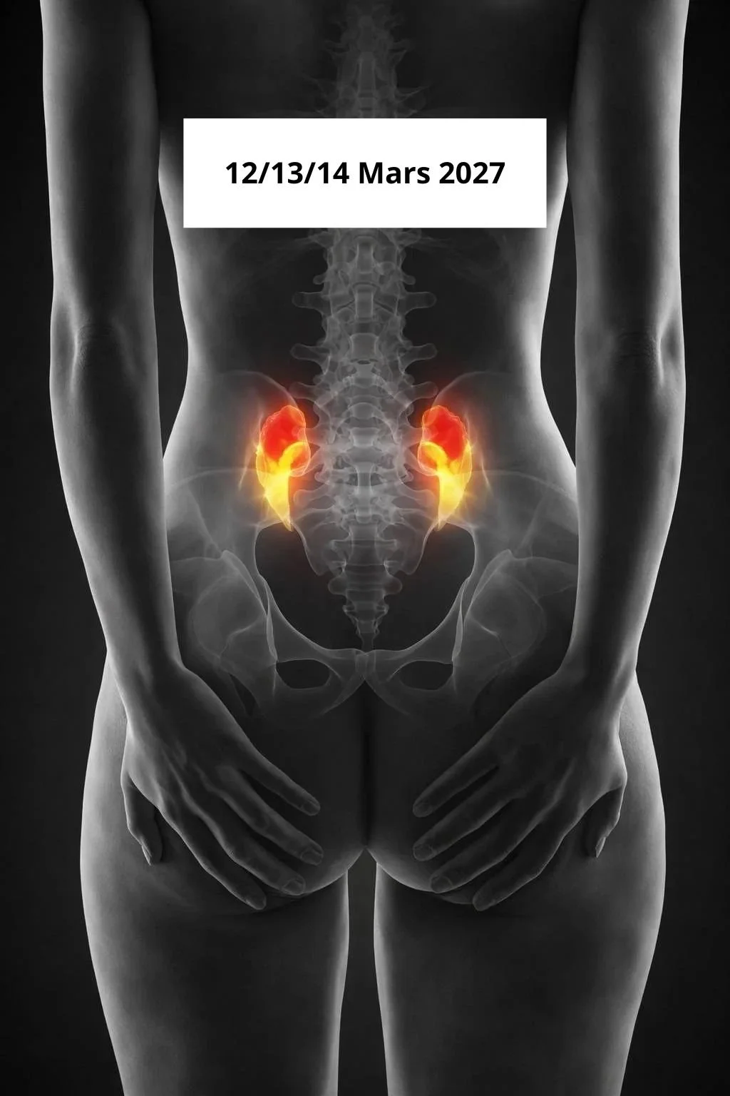 Sacro-iliaque Module 1 Formation Sacro-iliaque