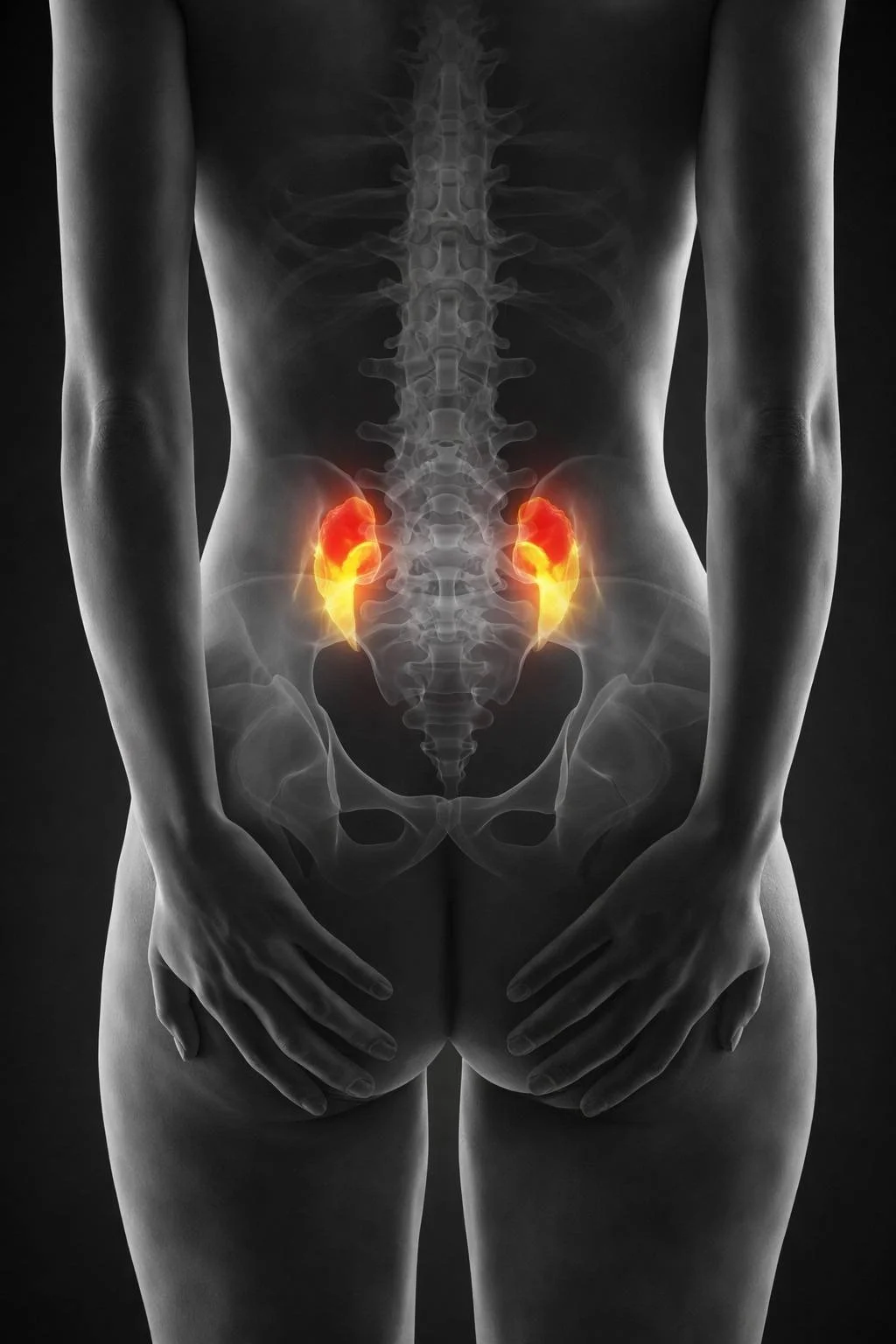 Sacro-iliaque Module 1 Formation Sacro-iliaque