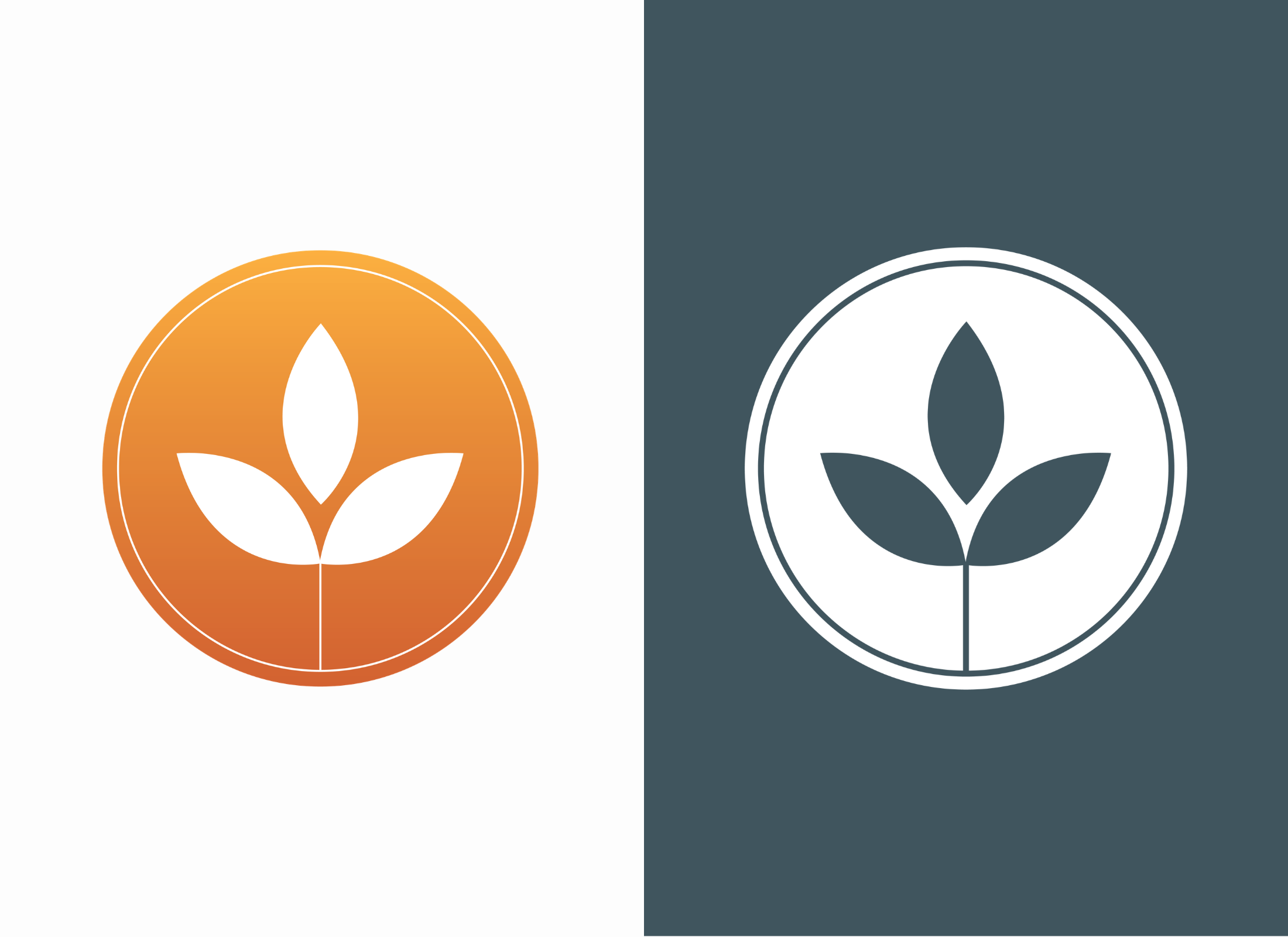 Logo for CSNL's Thrive365 initiative; these materials led to securing a $100,000 grant