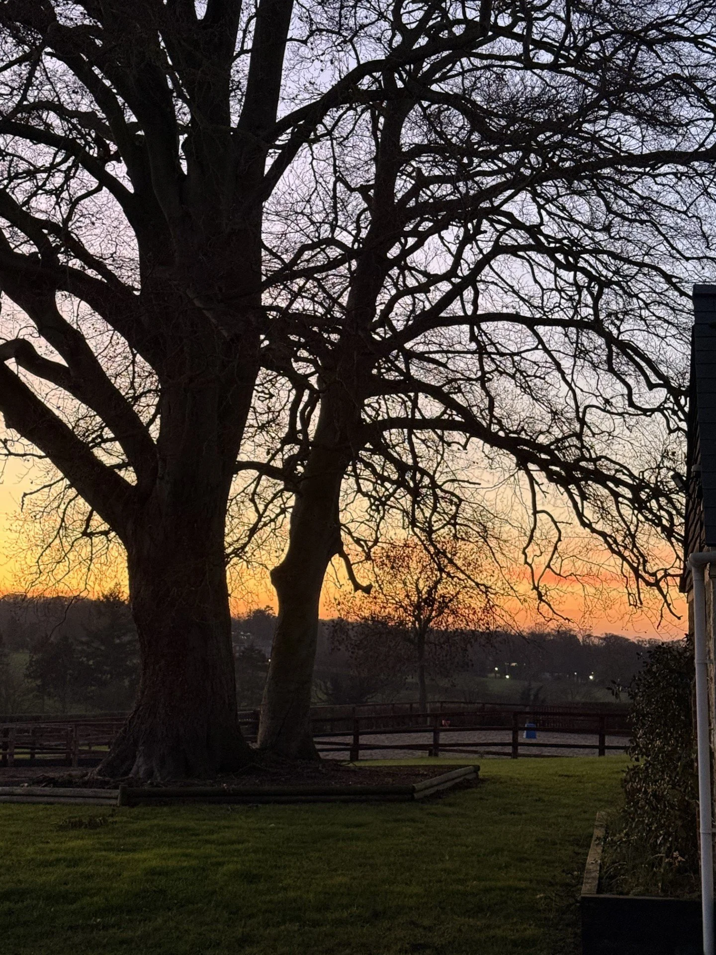 Goodbye 2025; Hello 2026