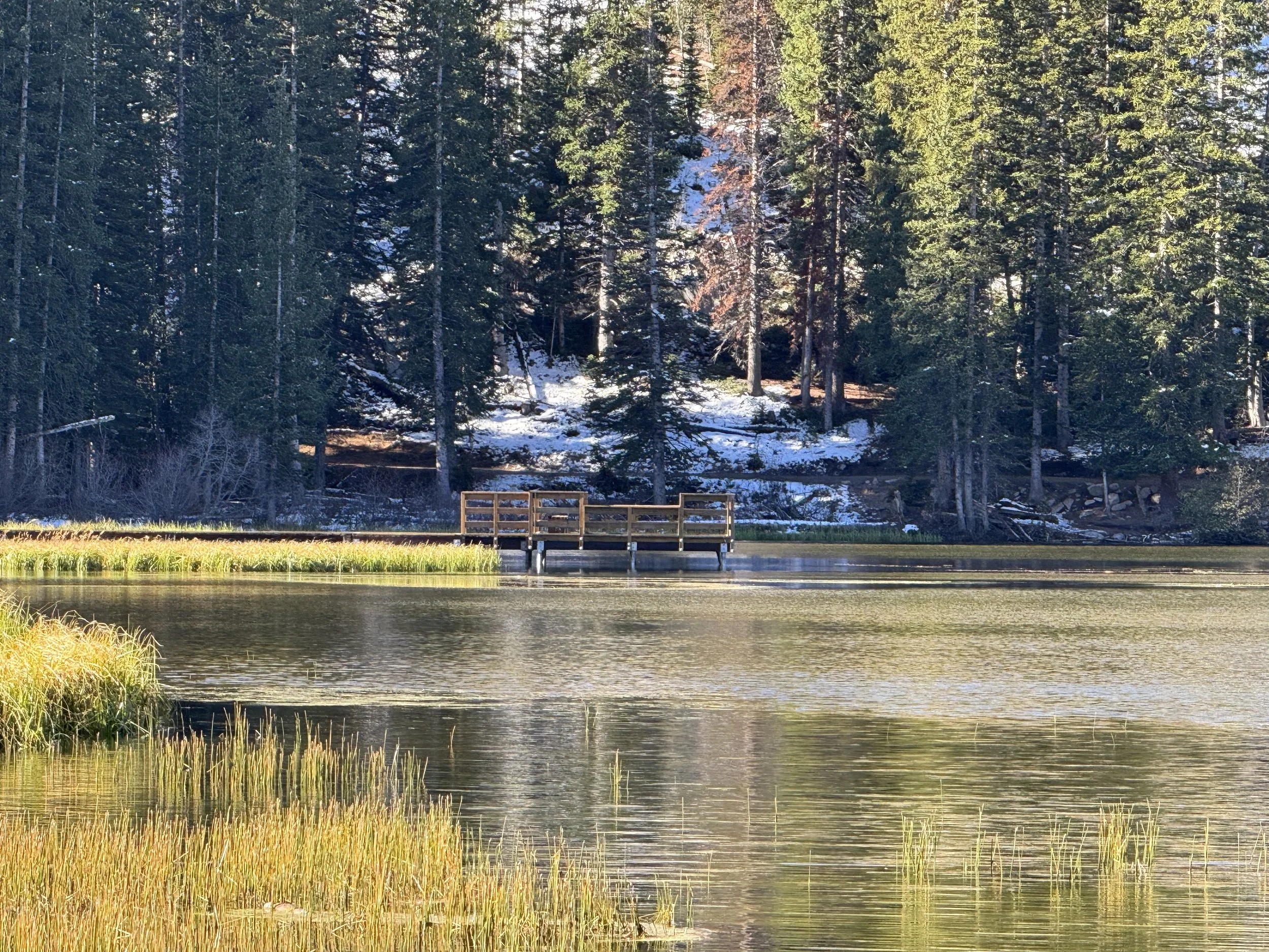 A serene lake surrounded by trees, with a small wooden dock extending into the water. Snow is visible on the ground and the trees, indicating a winter setting.