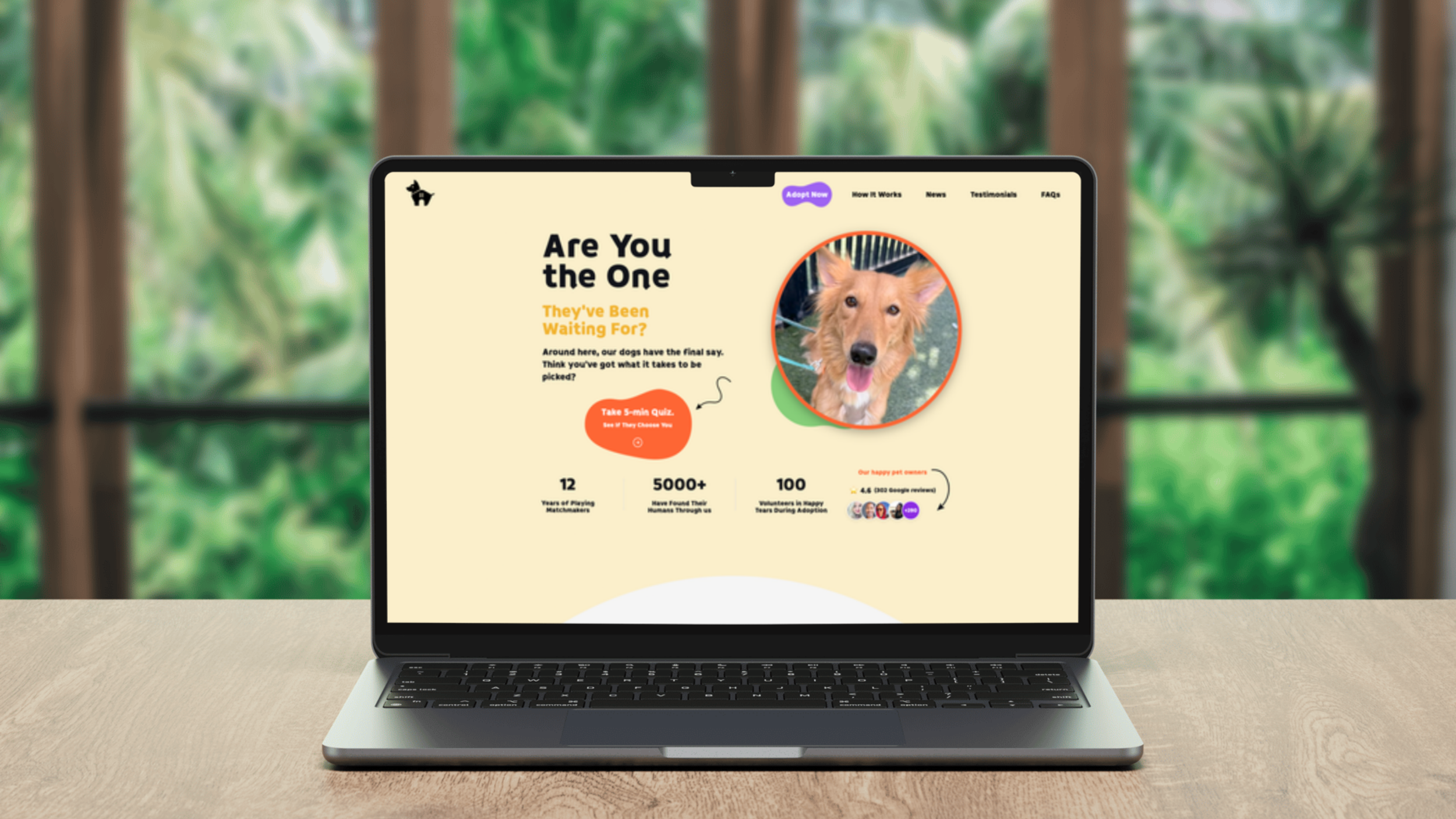 The Stray Dog Foundation UAE had traffic, but not adoption enquiries. Their existing website relied on sad imagery and emotional appeal, which made visitors feel sympathy, but not confidence. 

People visited, then left. The Chief Volunteer came to L