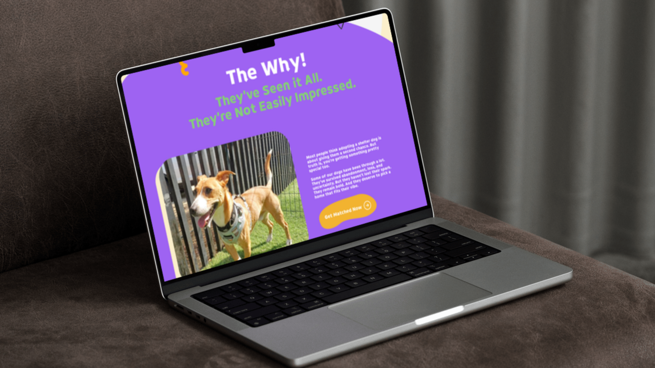 NGO Landing Page Design Driving Conversions