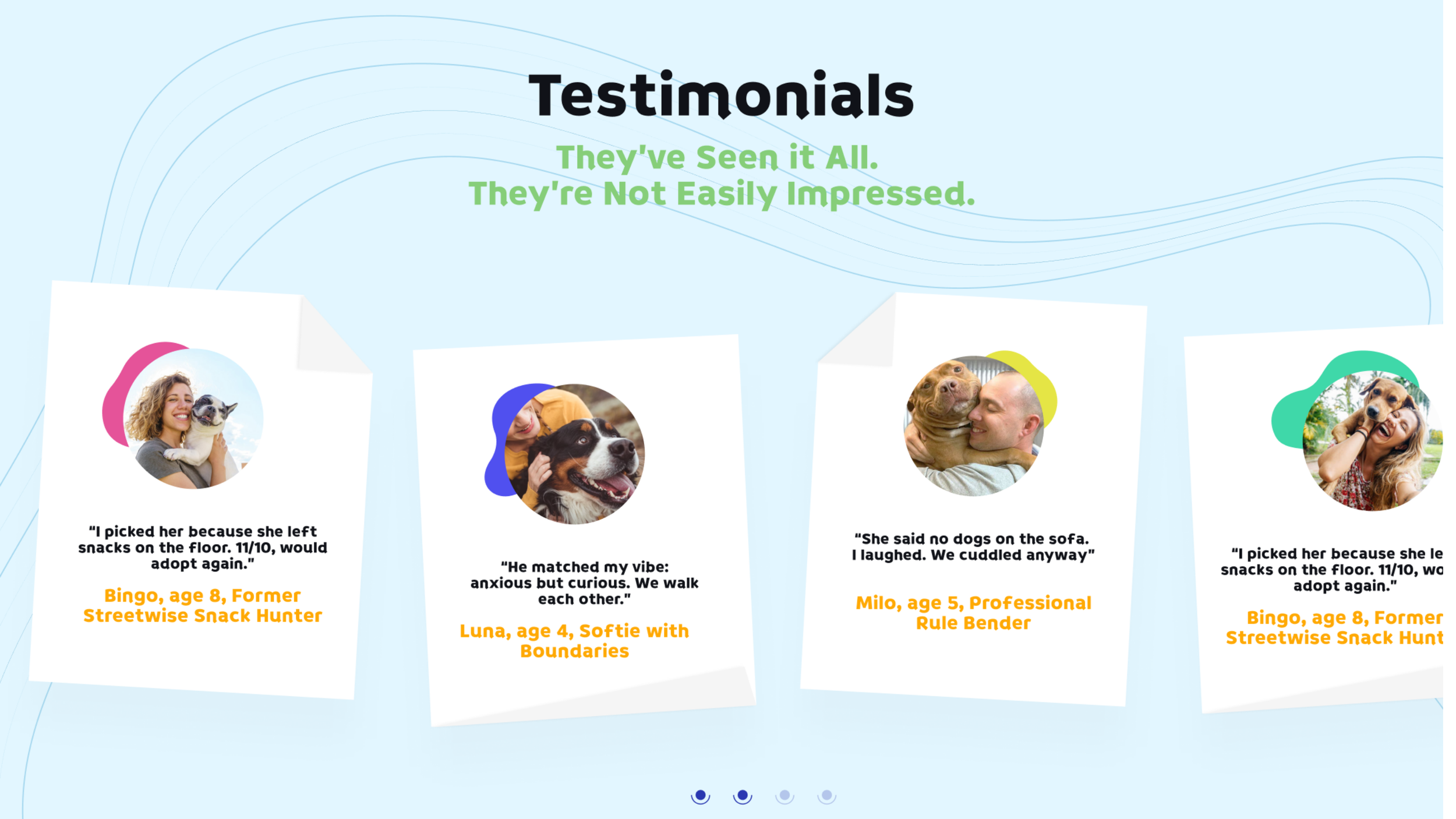The result was a 500% increase in qualified adoption leads. By removing guilt, building confidence, and turning adoption into a joyful, story-driven experience, the campaign helped the right humans connect with the right dogs, and proved that when yo