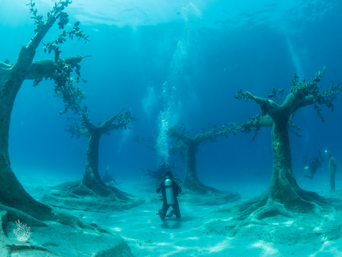 Underwater scene with divers exploring a submerged forest of artificial trees.