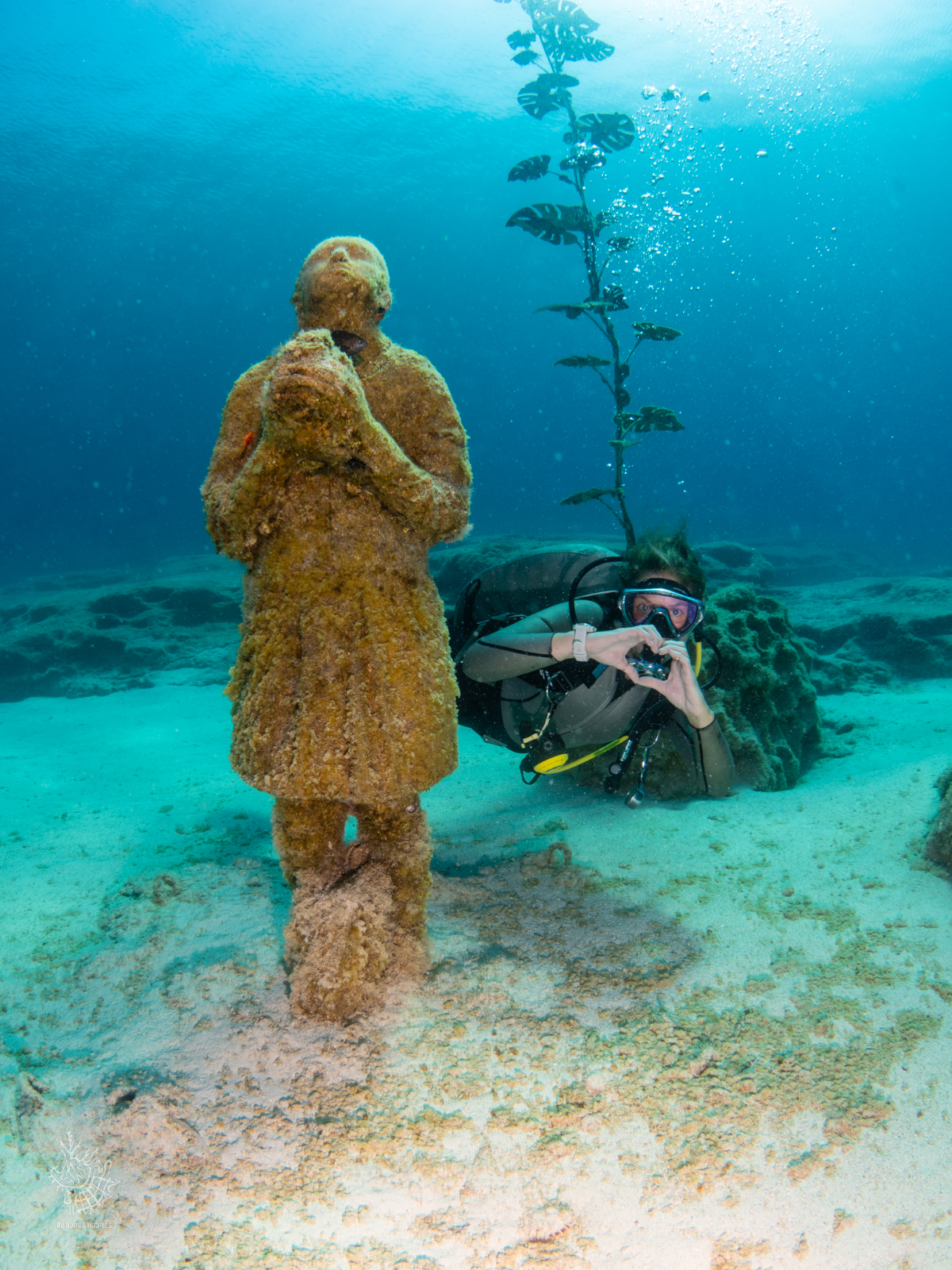 An underwater scene showing a diver taking a photo of a rusted, coral-covered statue with a plant growing up behind it.