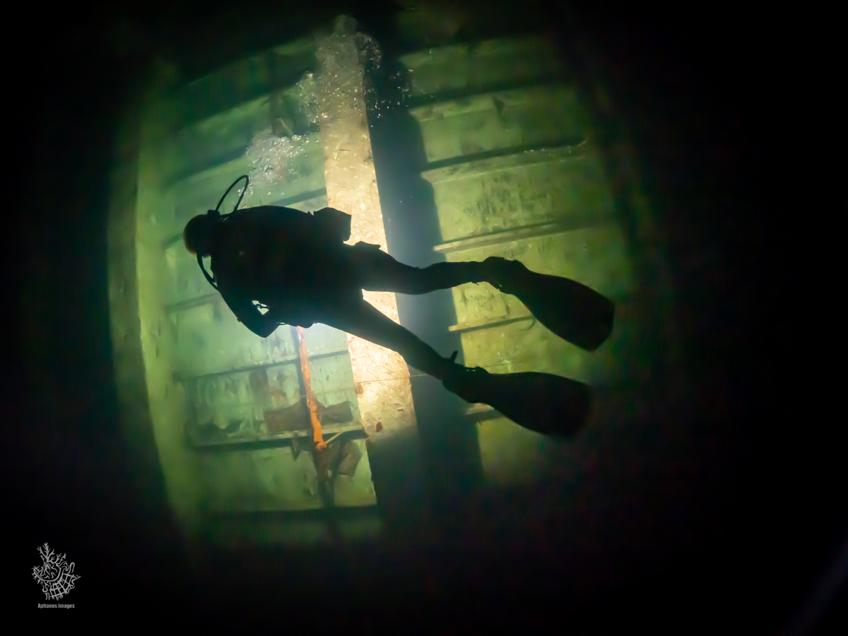 Scuba diver swimming inside a submerged, greenish, wooden structure with light filtering through.
