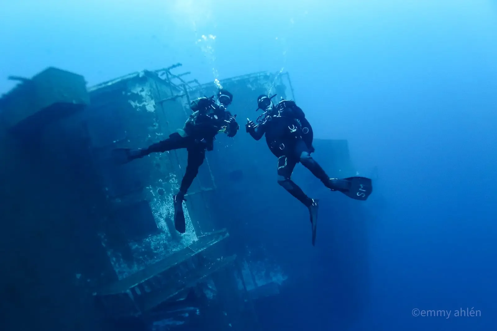 4985c252-526e-4438-836b-29d4799dbf69 2.webp