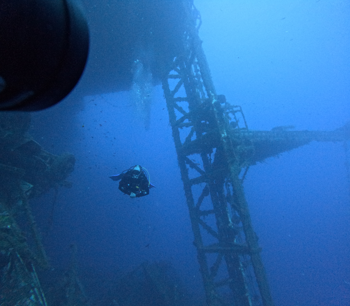 GPTempDownload 343.webp