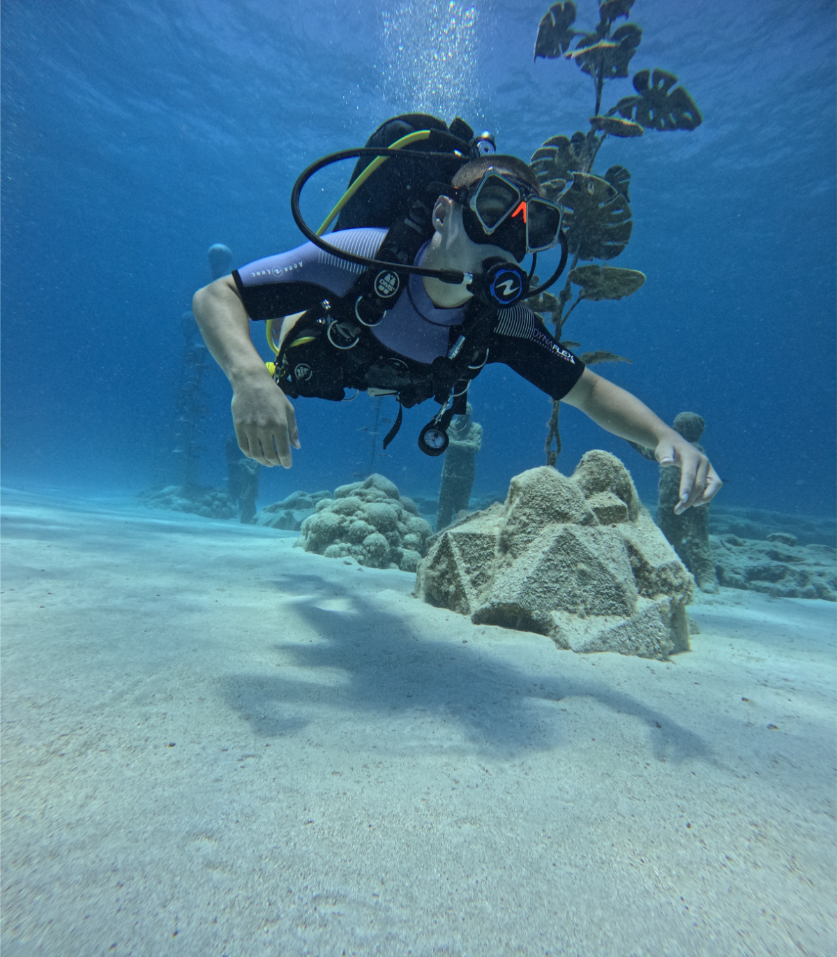 A person scuba diving underwater near rocks and plants.