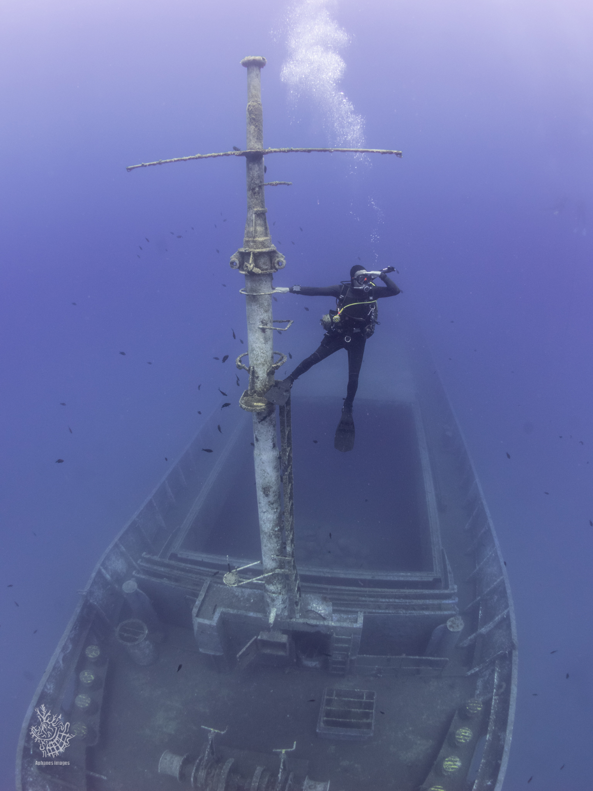 A scuba diver exploring the Elpida, sunken ship underwater.