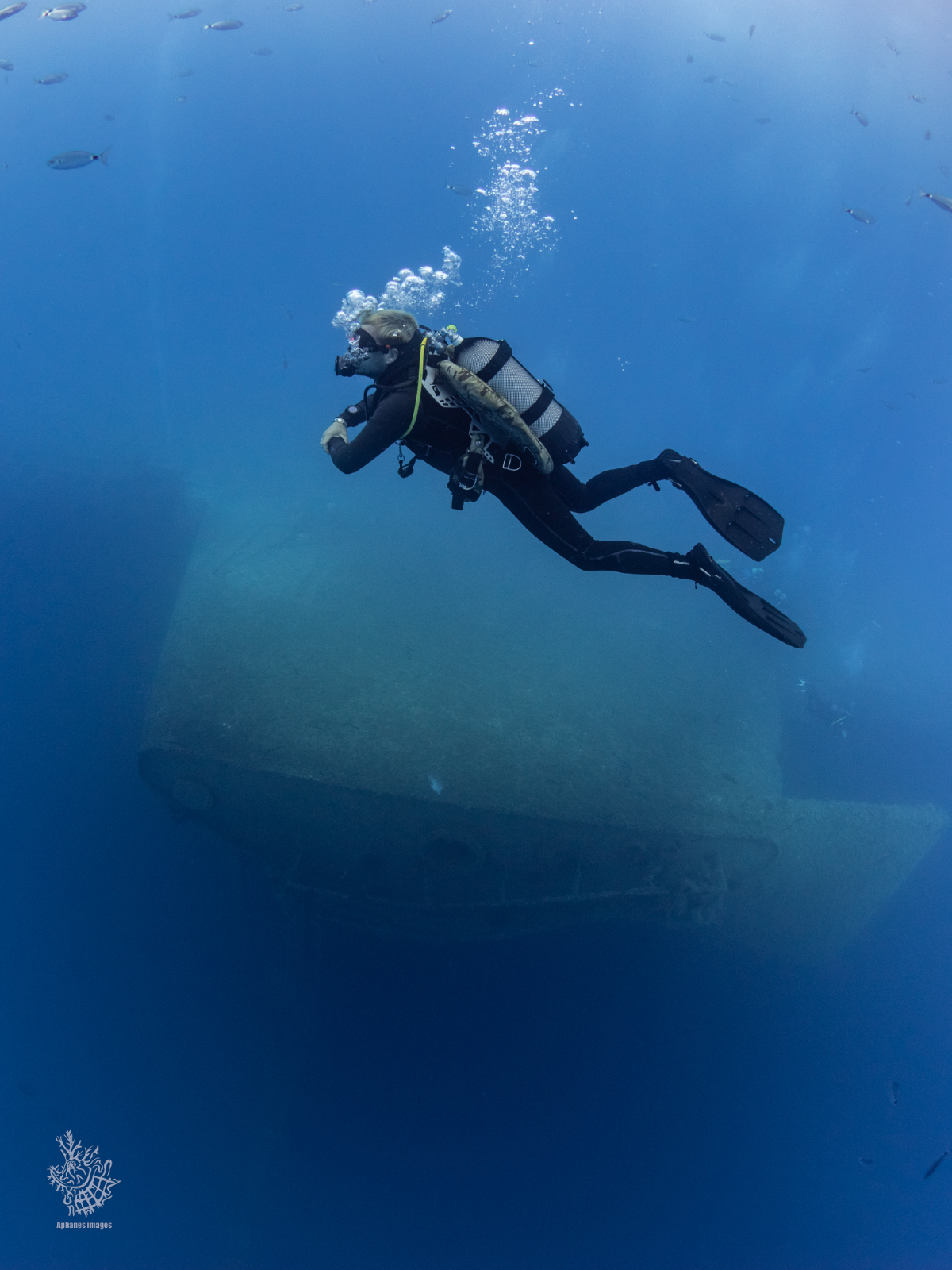 Scuba diver underwater near a sunken shipwreck with small fish swimming around.