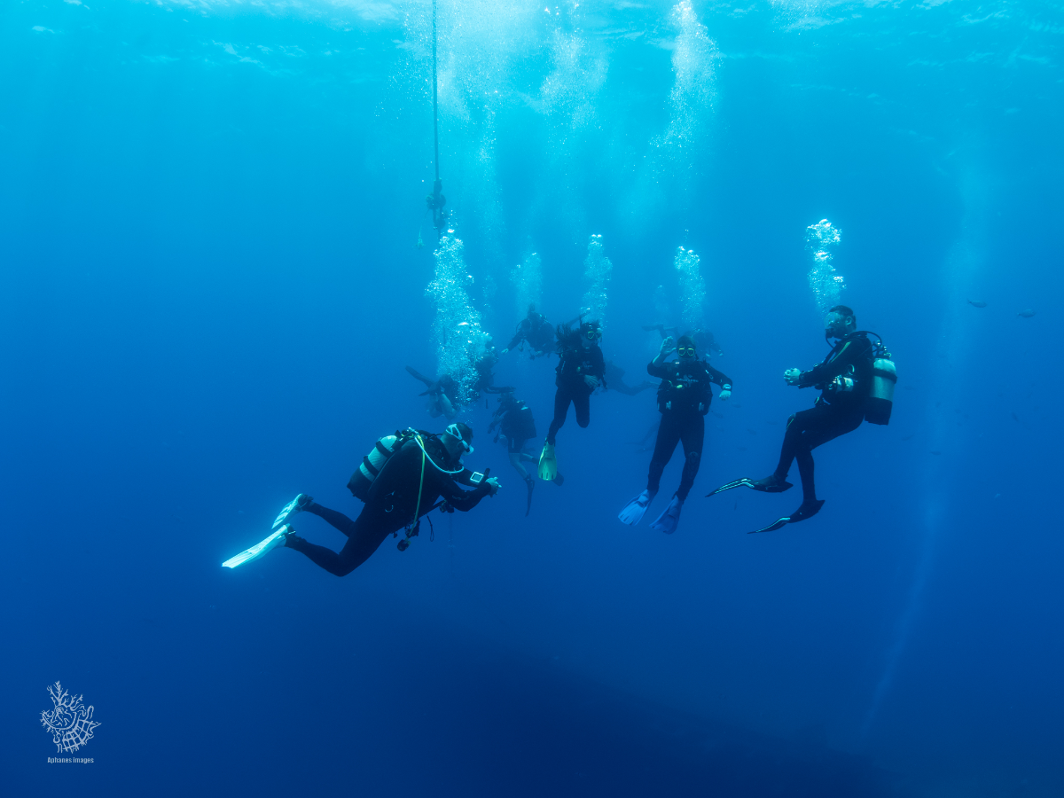Group of scuba divers underwater, some taking photos, others floating with fins and scuba gear in clear blue ocean.