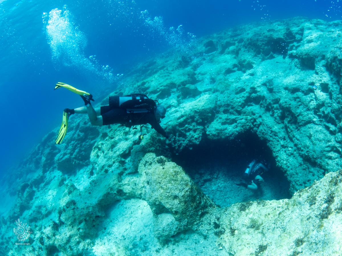 A scuba diver exploring a coral reef with a large marine cavern or hole in the reef.