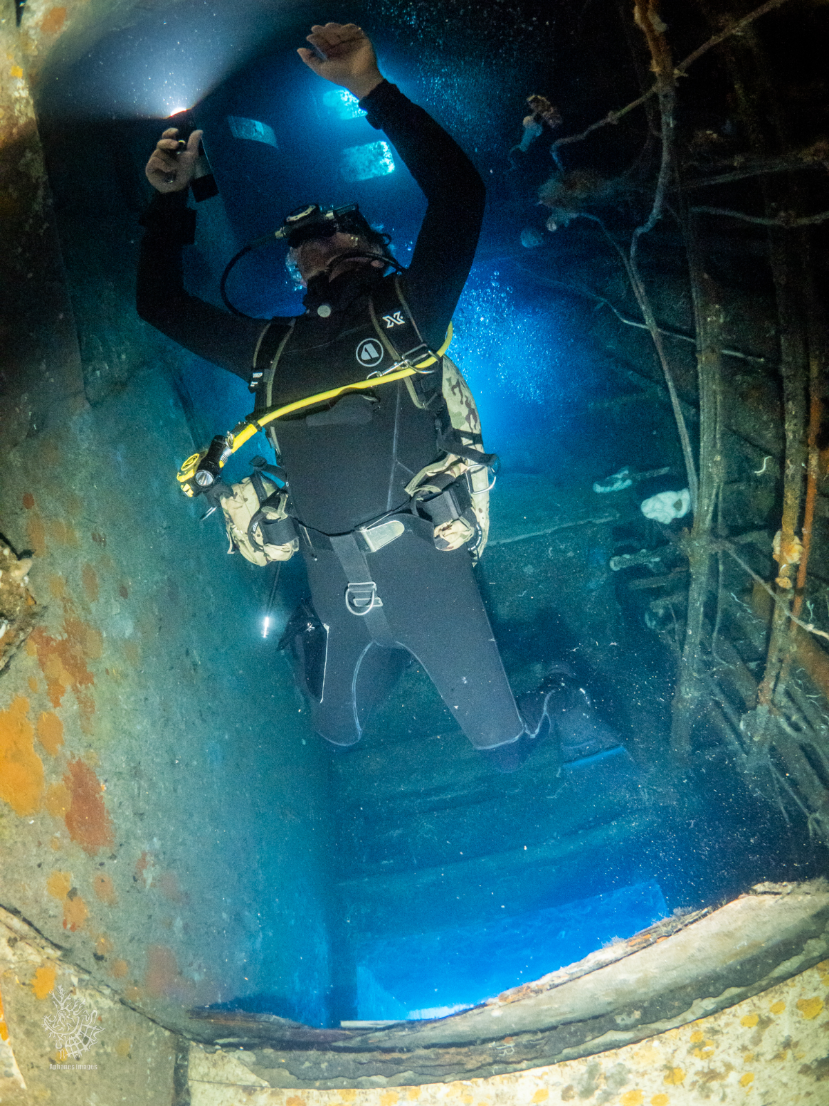 A scuba diver in a black wetsuit and mask swimming in an underwater tunnel with aquatic surroundings.