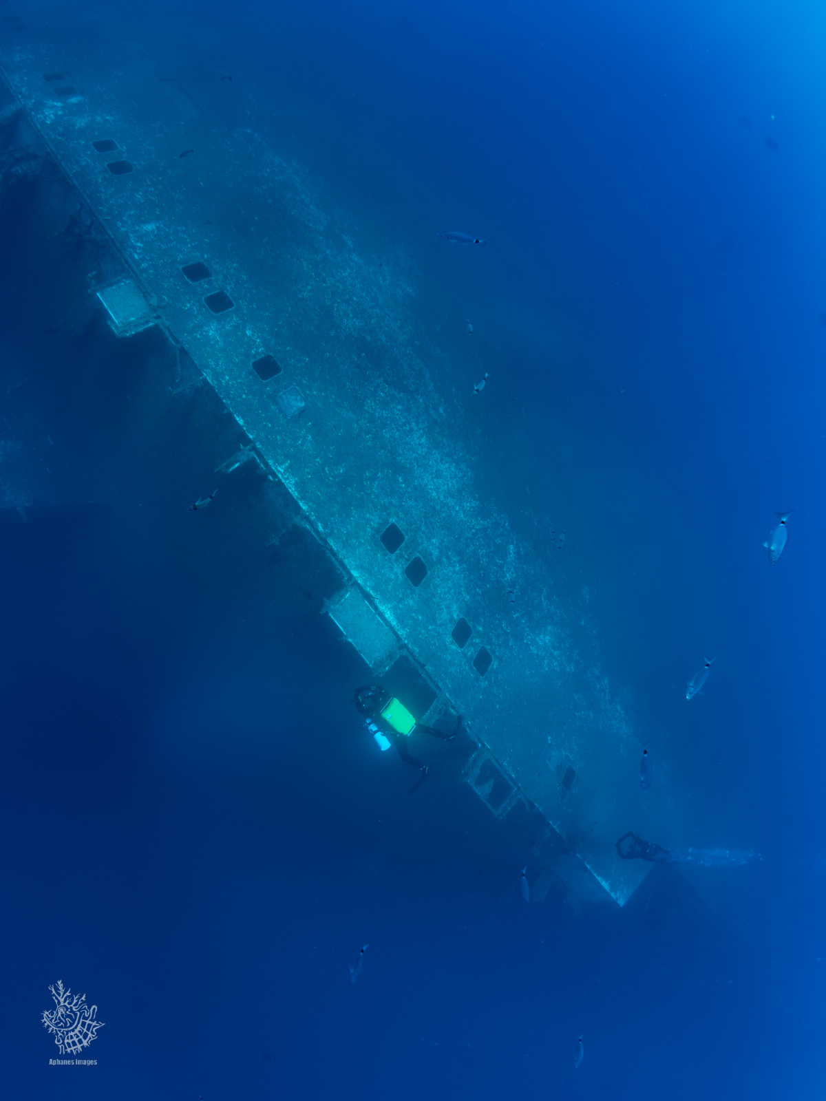 A diver exploring the submerged wreck of a large ship in the ocean, surrounded by small fish.