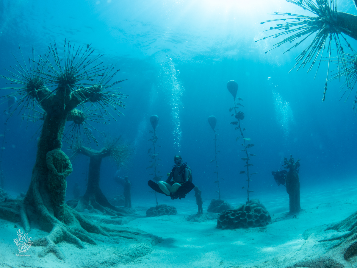Underwater scene with divers among tall plants and coral formations, sun rays penetrating the water.
