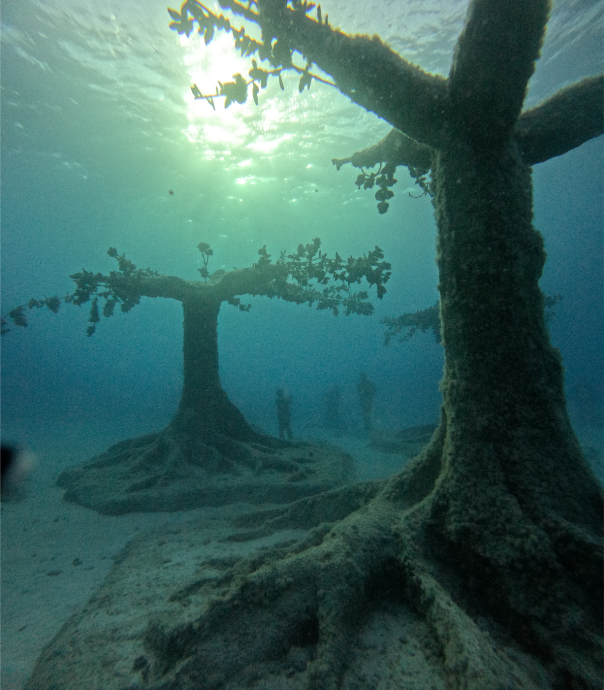 Underwater scene with two large, algae-covered trees rooted in the sandy ocean floor, with sunlight filtering through the water and small human figures in the background.