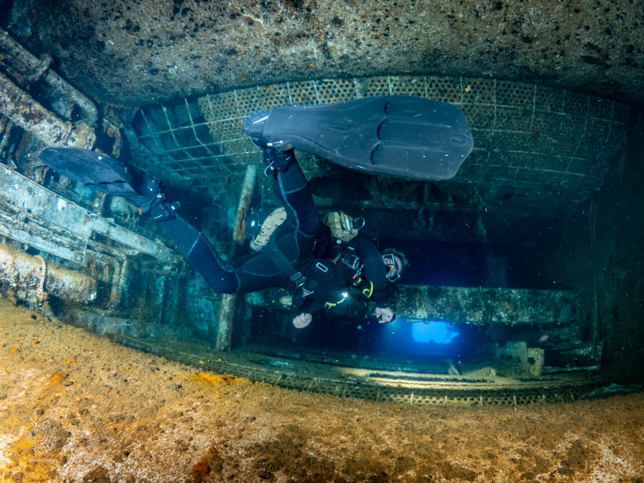 Explore the Ultimate Dive in Larnaca, The Zenobia Wreck and More