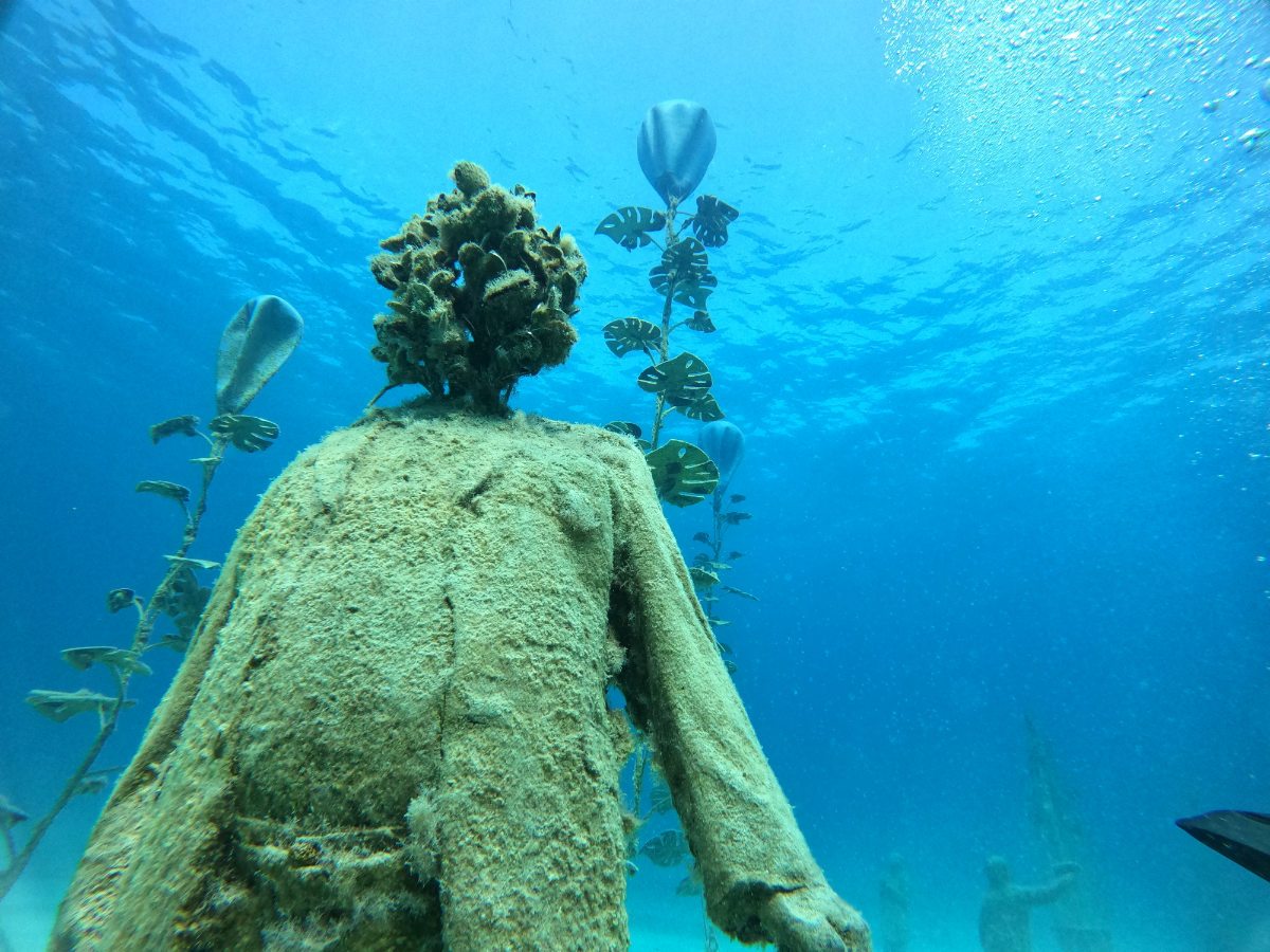 Underwater sculpture of a person with a textured surface, surrounded by sea plants including a large coral formation and seaweeds, with divers visible in the background.